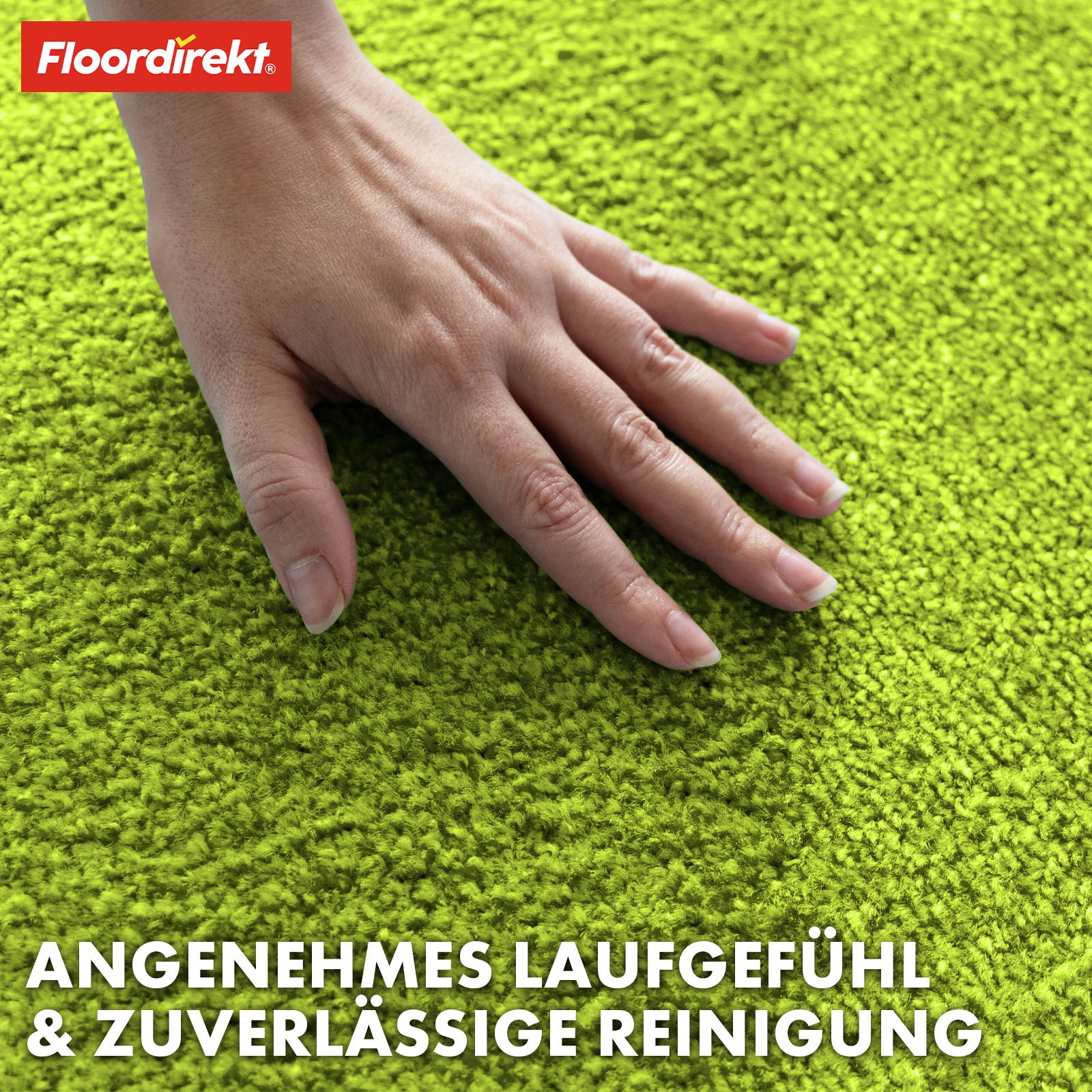 Paillasson | Domenico | Tapis de propreté élégant et pratique | Disponible en plusieurs couleurs attrayantes