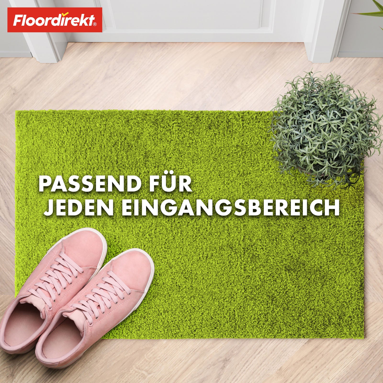 Paillasson | Domenico | Tapis de propreté élégant et pratique | Disponible en plusieurs couleurs attrayantes