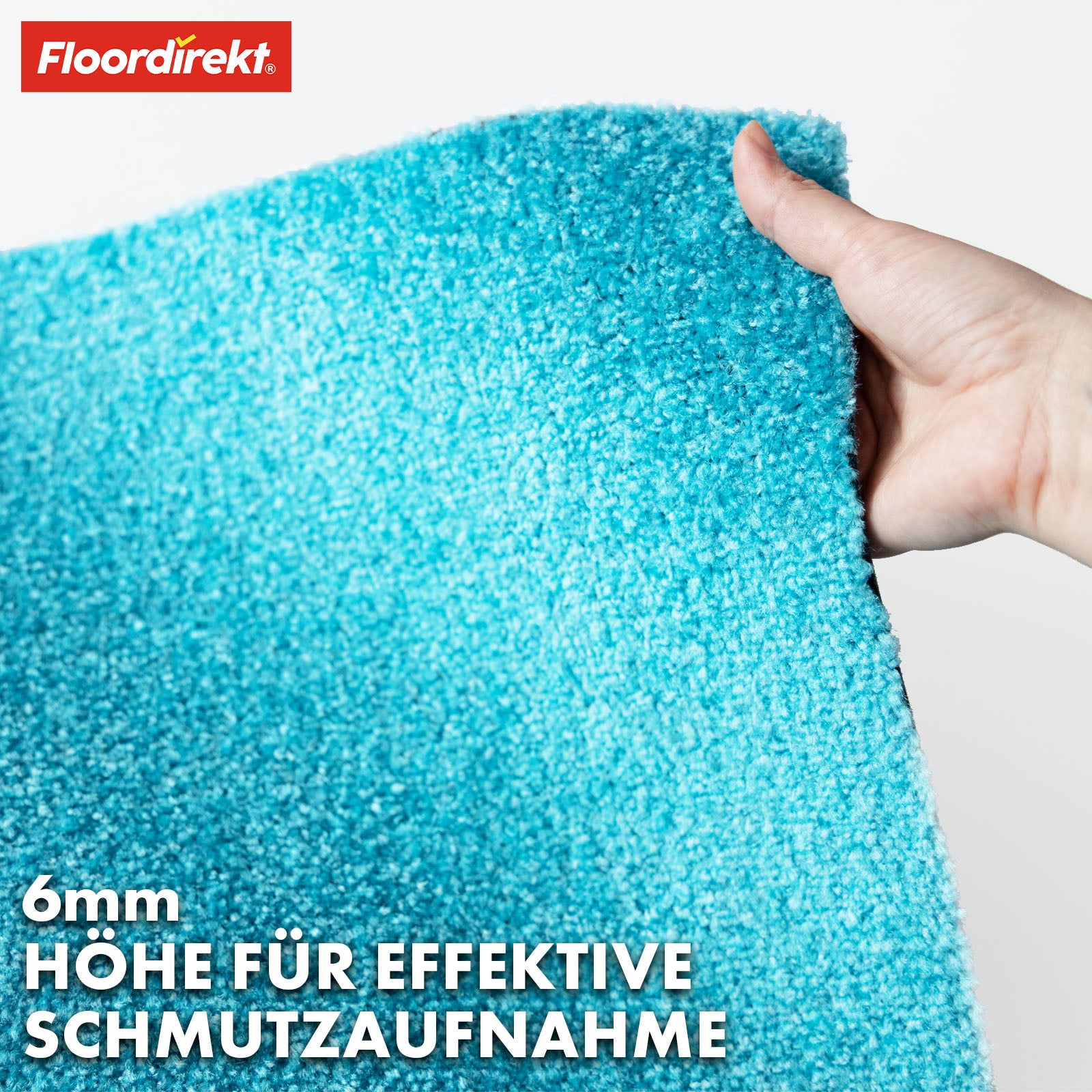 Paillasson | Domenico | Tapis de propreté élégant et pratique | Disponible en plusieurs couleurs attrayantes