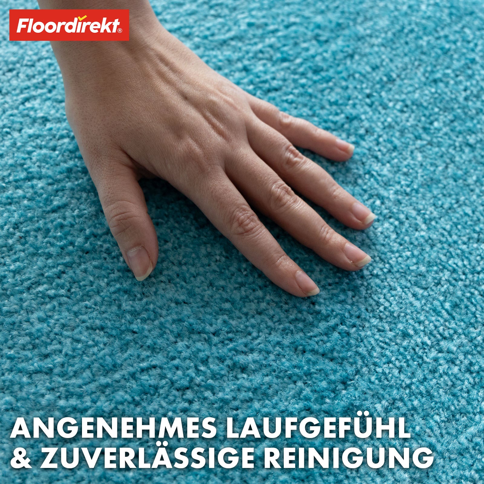 Paillasson | Domenico | Tapis de propreté élégant et pratique | Disponible en plusieurs couleurs attrayantes