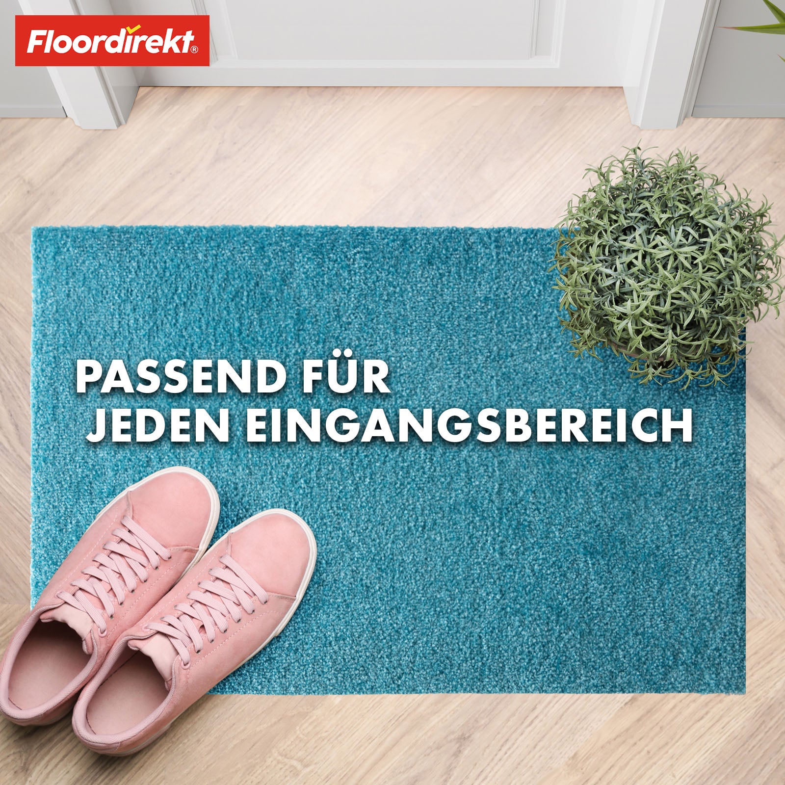 Paillasson | Domenico | Tapis de propreté élégant et pratique | Disponible en plusieurs couleurs attrayantes