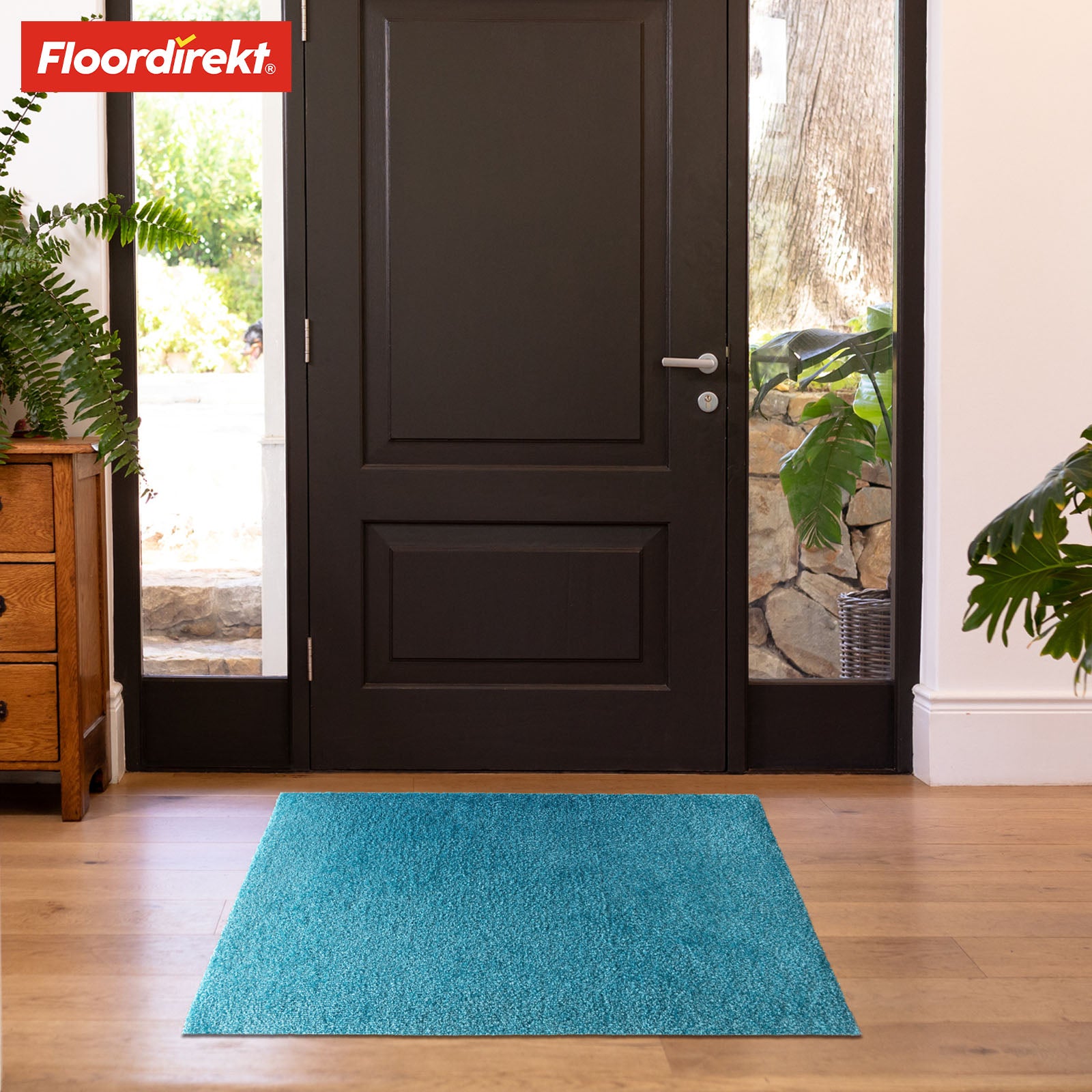 Paillasson | Domenico | Tapis de propreté élégant et pratique | Disponible en plusieurs couleurs attrayantes