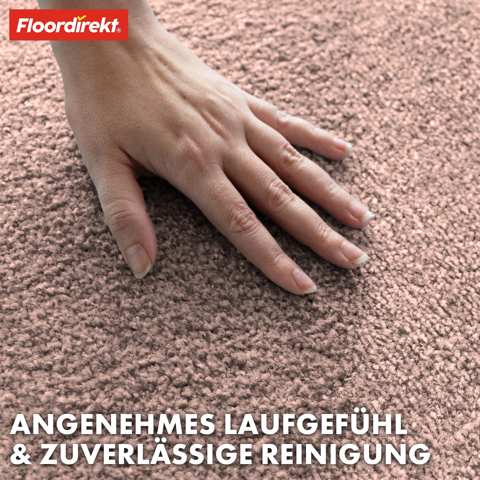 Paillasson | Domenico | Tapis de propreté élégant et pratique | Disponible en plusieurs couleurs attrayantes