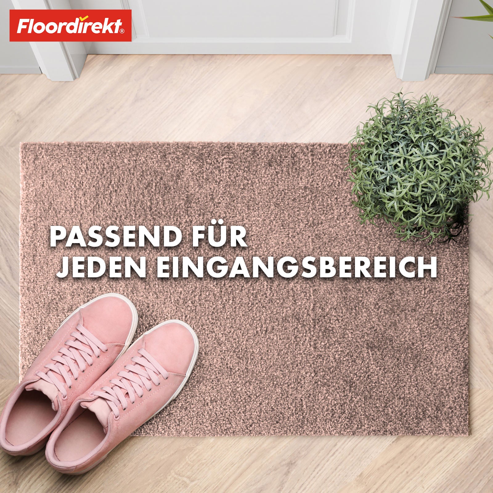 Paillasson | Domenico | Tapis de propreté élégant et pratique | Disponible en plusieurs couleurs attrayantes