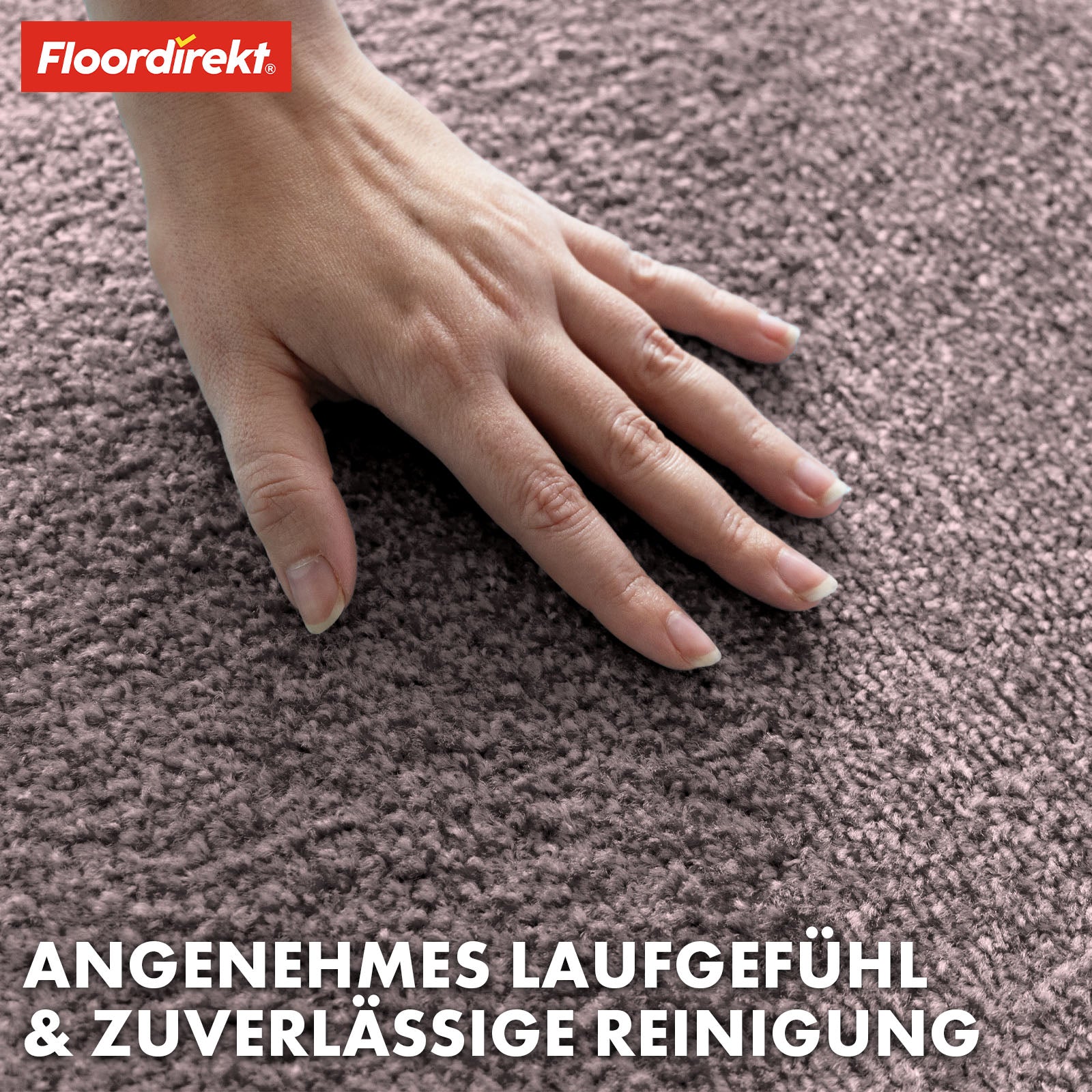 Paillasson | Domenico | Tapis de propreté élégant et pratique | Disponible en plusieurs couleurs attrayantes