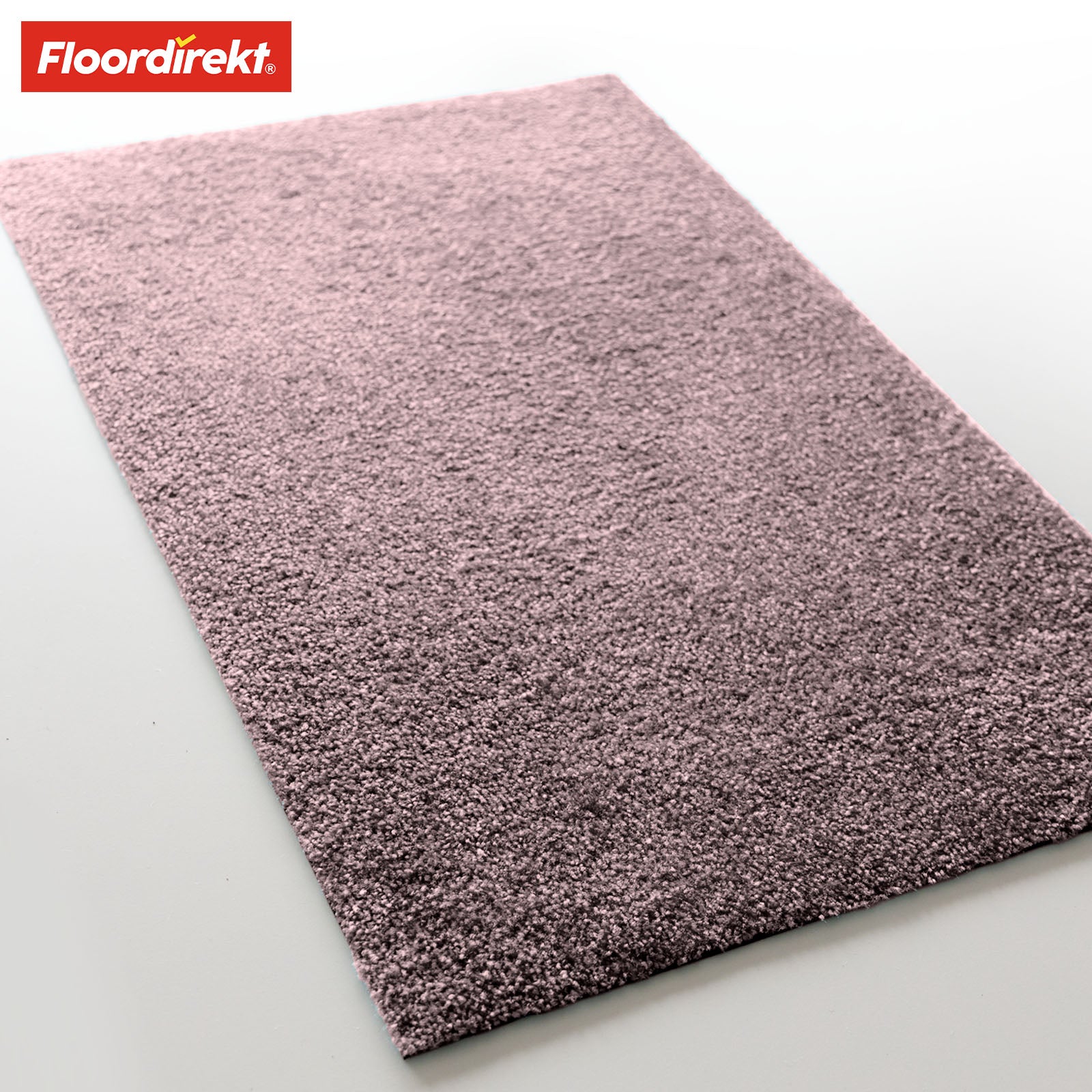 Paillasson | Domenico | Tapis de propreté élégant et pratique | Disponible en plusieurs couleurs attrayantes