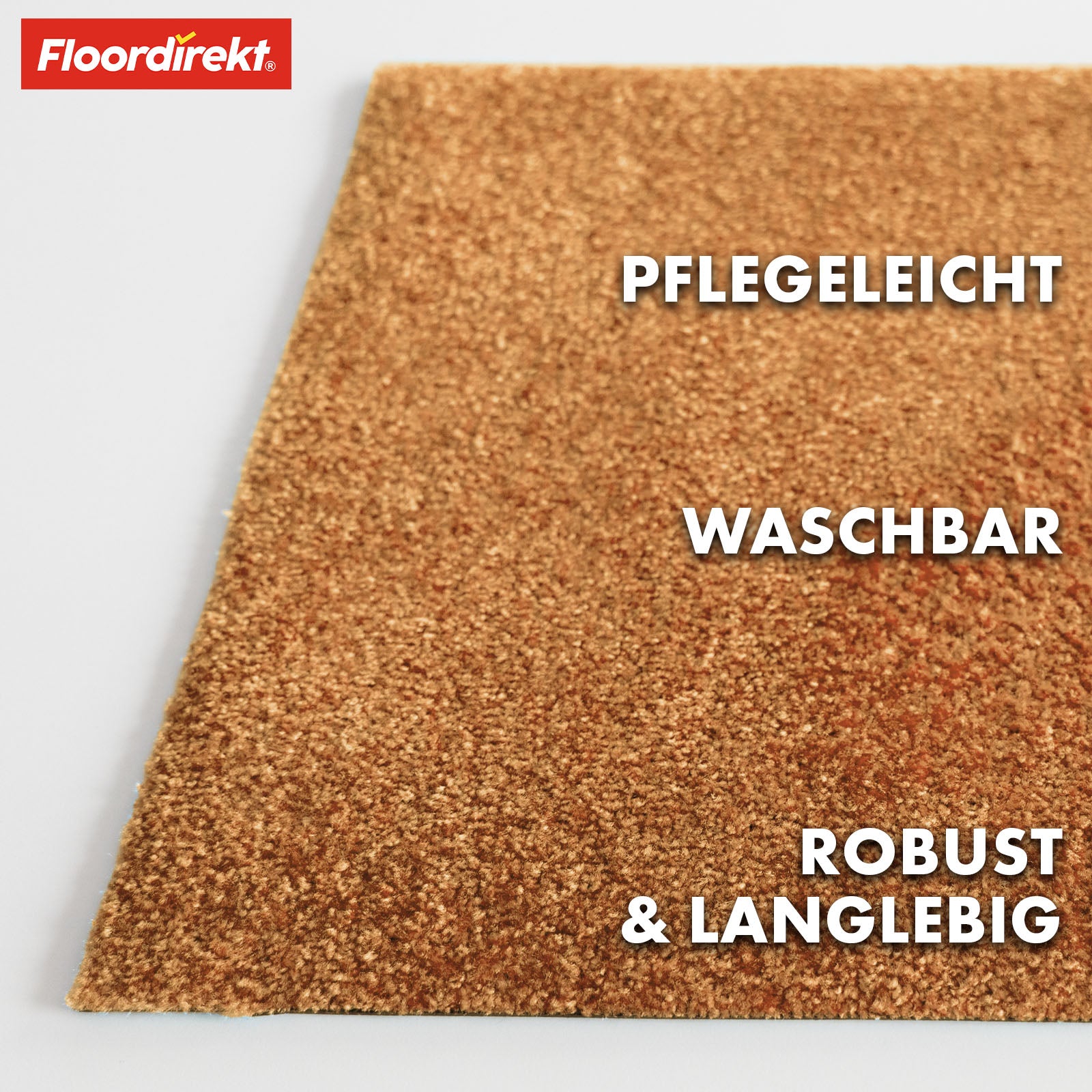 Paillasson | Domenico | Tapis de propreté élégant et pratique | Disponible en plusieurs couleurs attrayantes