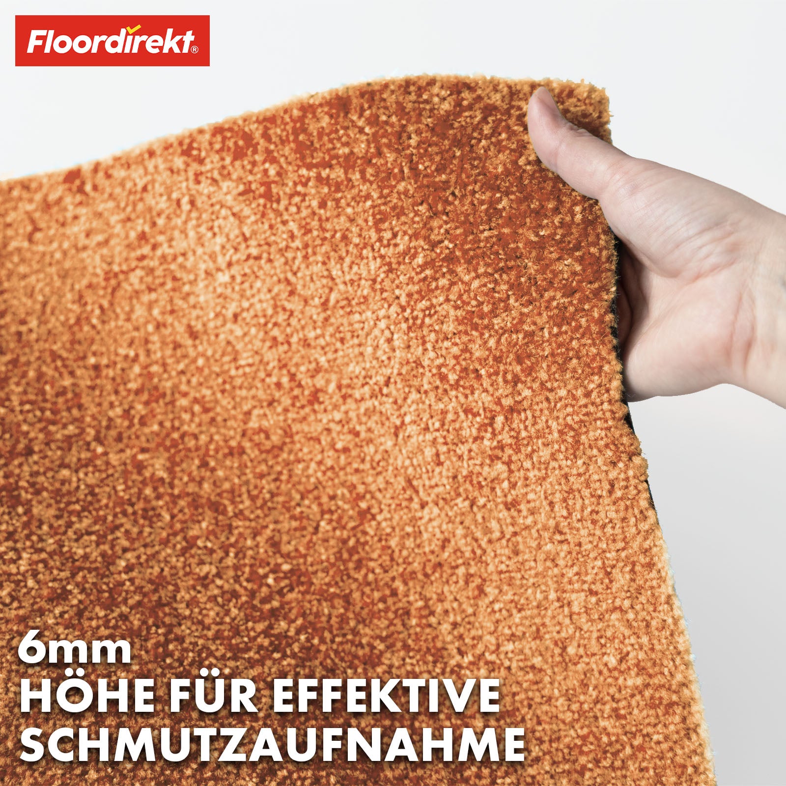 Paillasson | Domenico | Tapis de propreté élégant et pratique | Disponible en plusieurs couleurs attrayantes