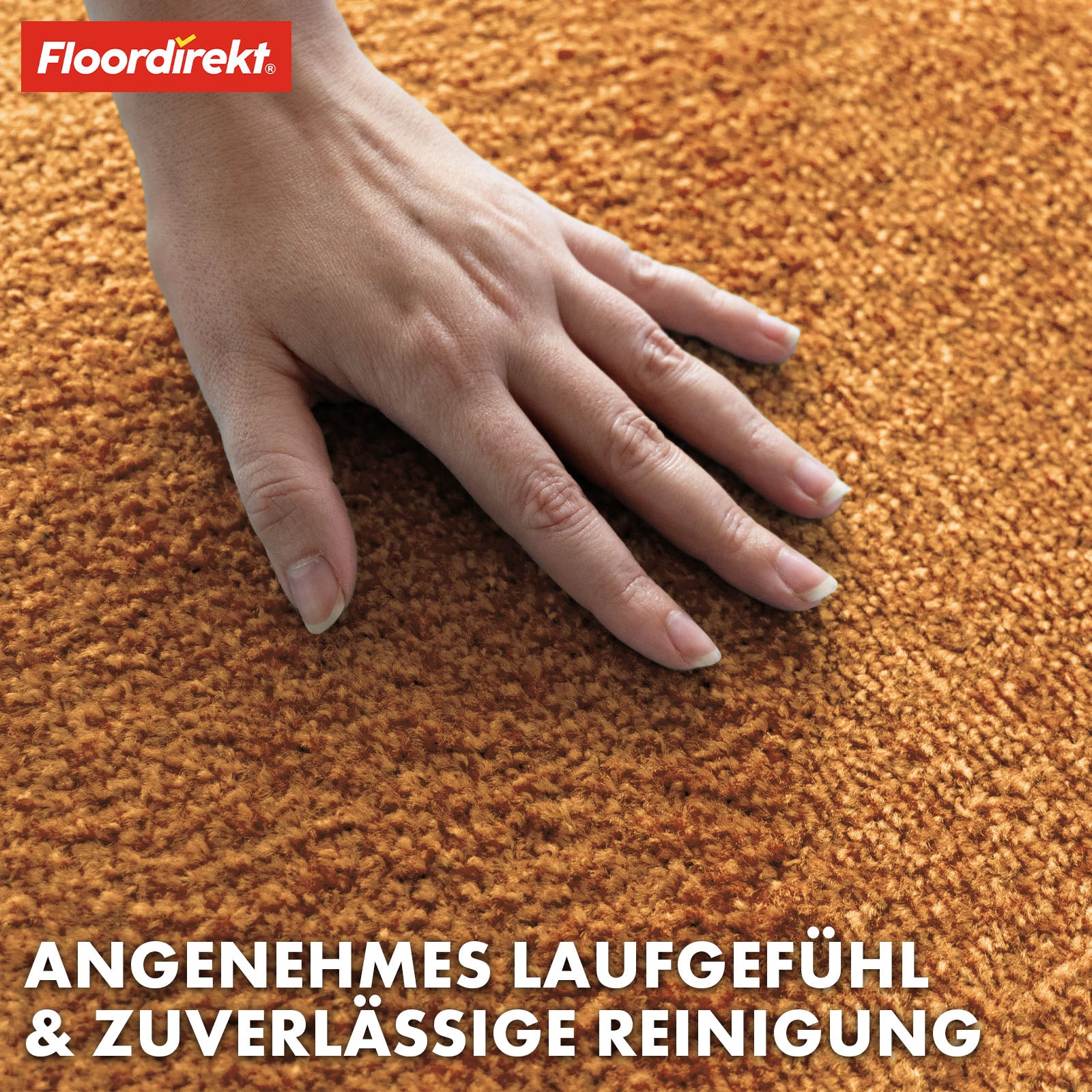 Paillasson | Domenico | Tapis de propreté élégant et pratique | Disponible en plusieurs couleurs attrayantes