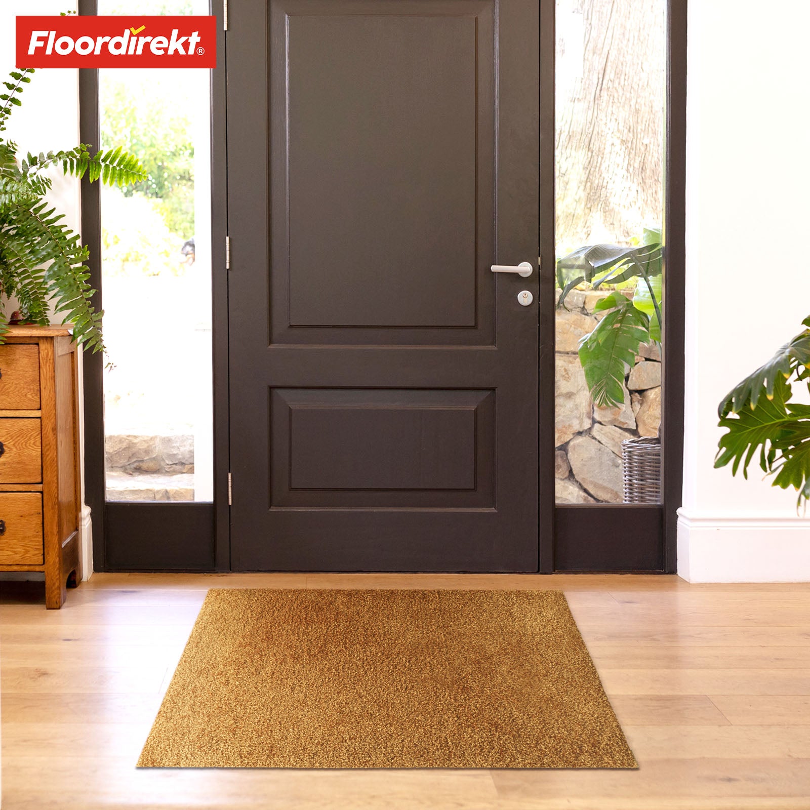 Paillasson | Domenico | Tapis de propreté élégant et pratique | Disponible en plusieurs couleurs attrayantes