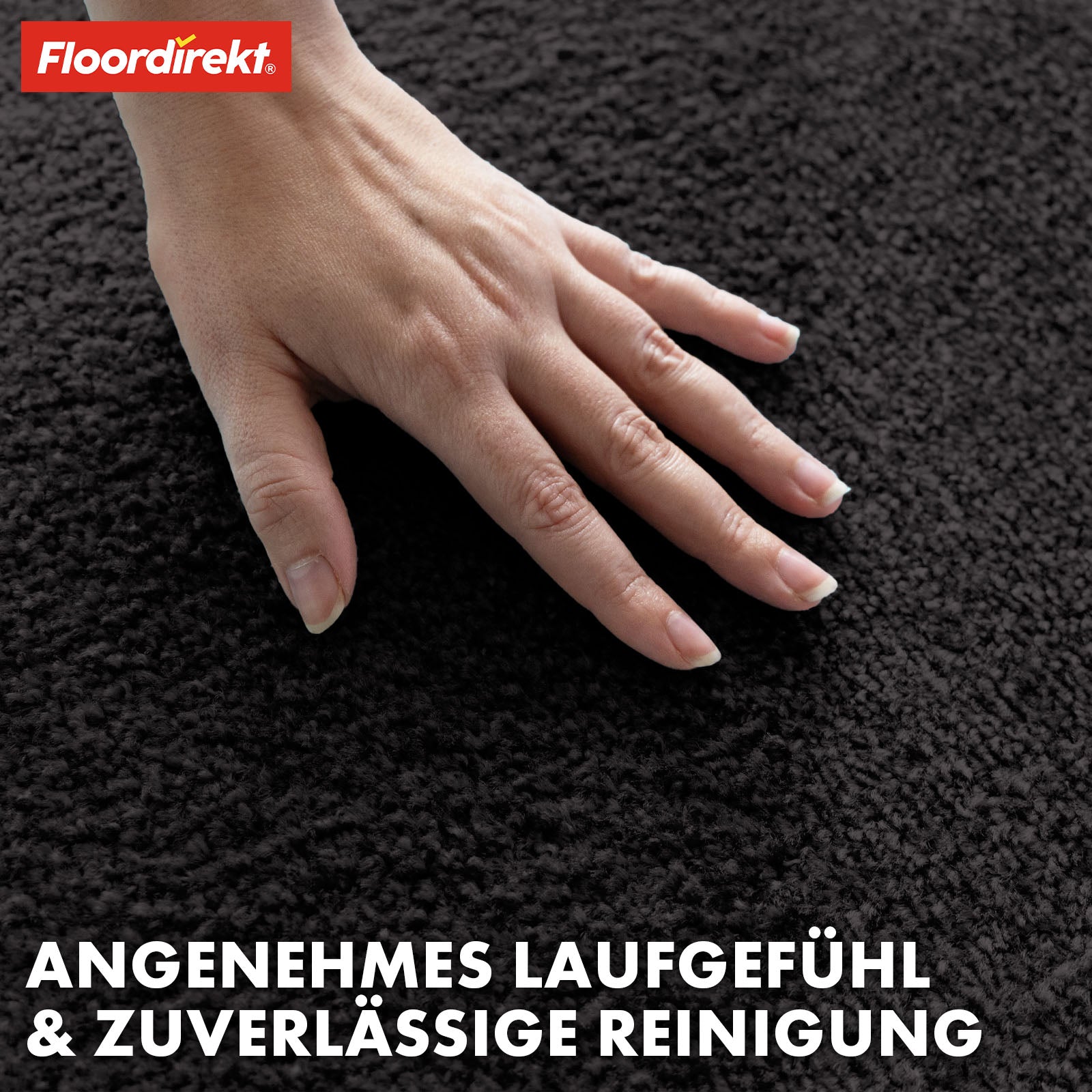 Paillasson | Domenico | Tapis de propreté élégant et pratique | Disponible en plusieurs couleurs attrayantes