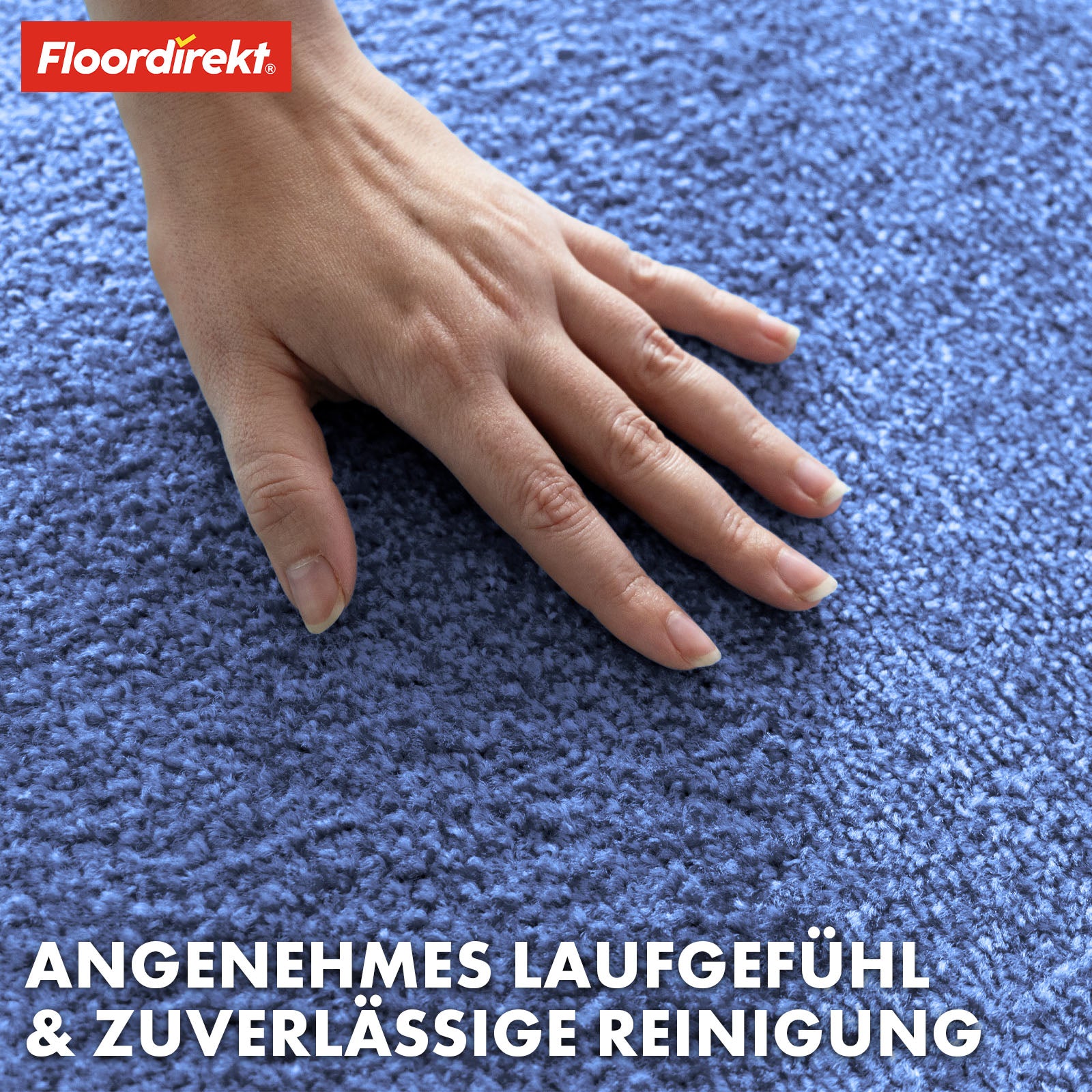 Paillasson | Domenico | Tapis de propreté élégant et pratique | Disponible en plusieurs couleurs attrayantes