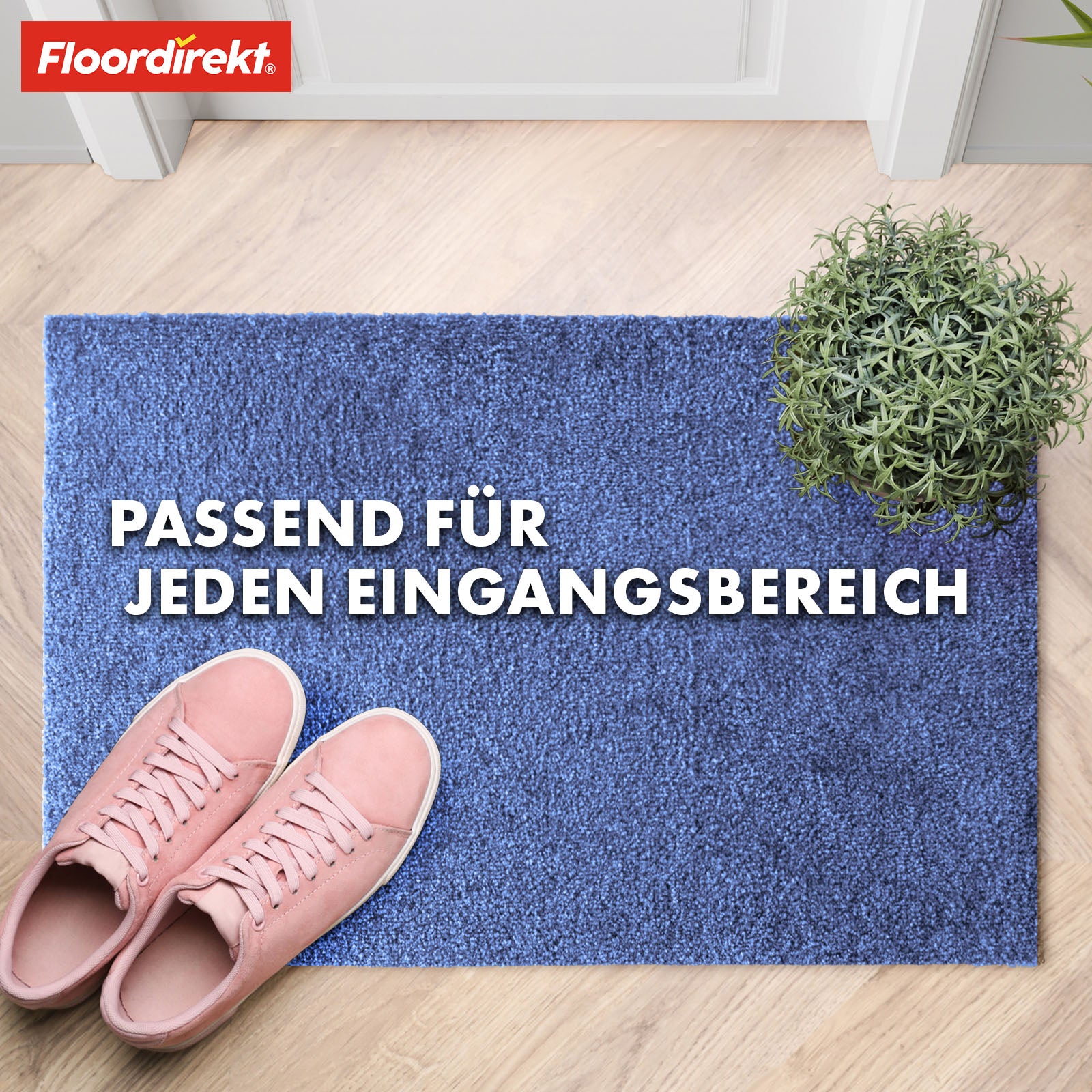 Paillasson | Domenico | Tapis de propreté élégant et pratique | Disponible en plusieurs couleurs attrayantes