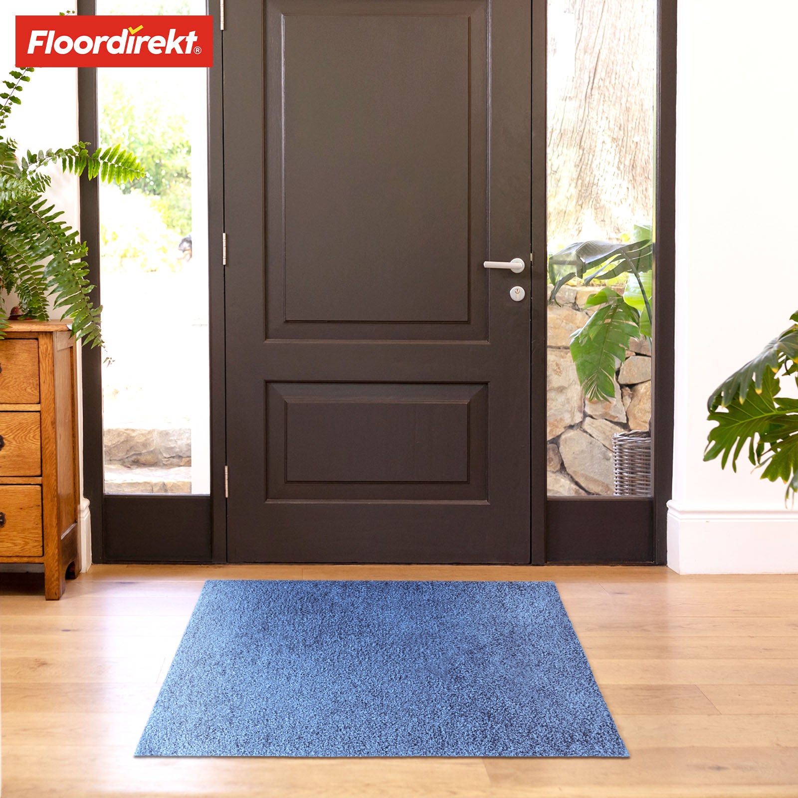 Paillasson | Domenico | Tapis de propreté élégant et pratique | Disponible en plusieurs couleurs attrayantes