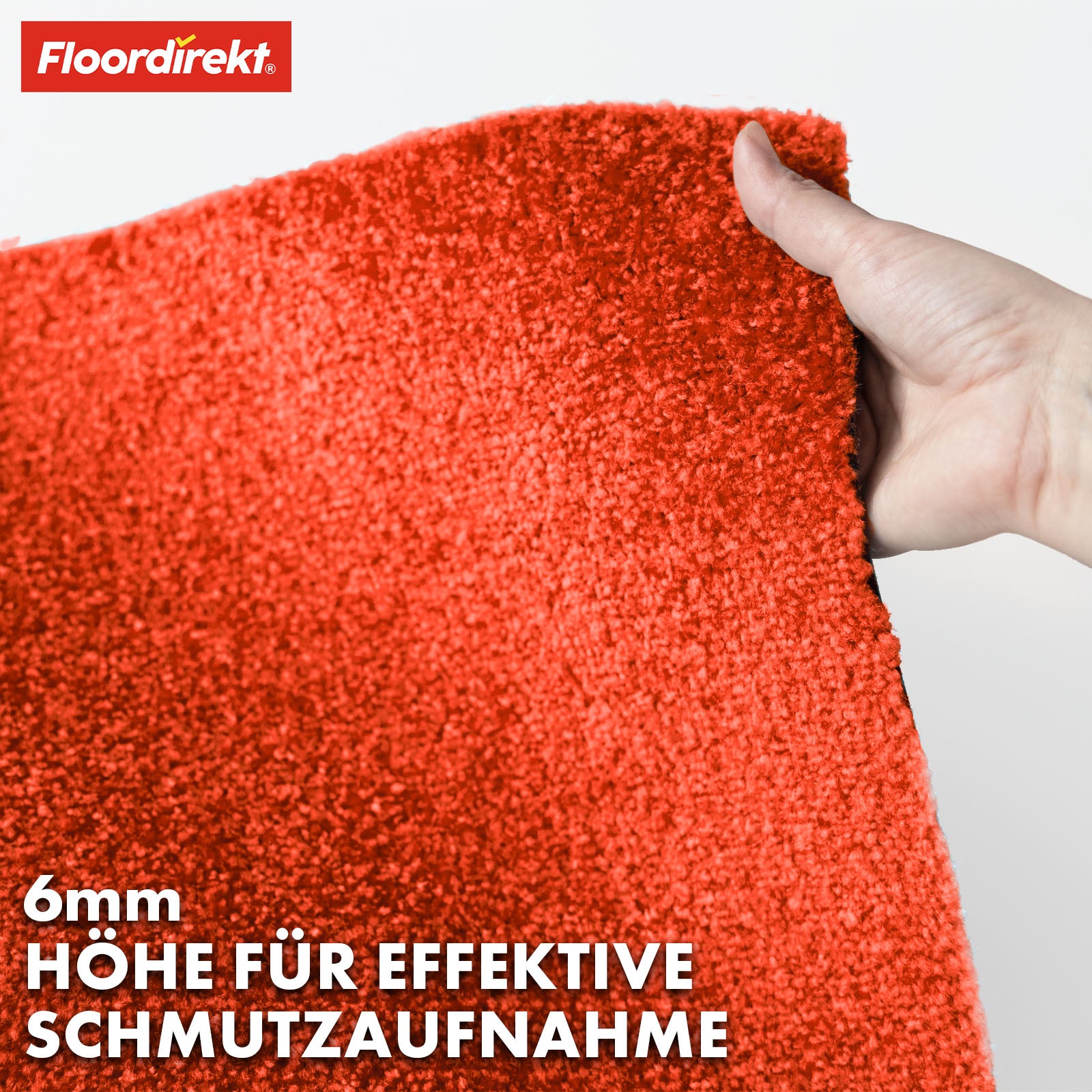 Paillasson | Domenico | Tapis de propreté élégant et pratique | Disponible en plusieurs couleurs attrayantes