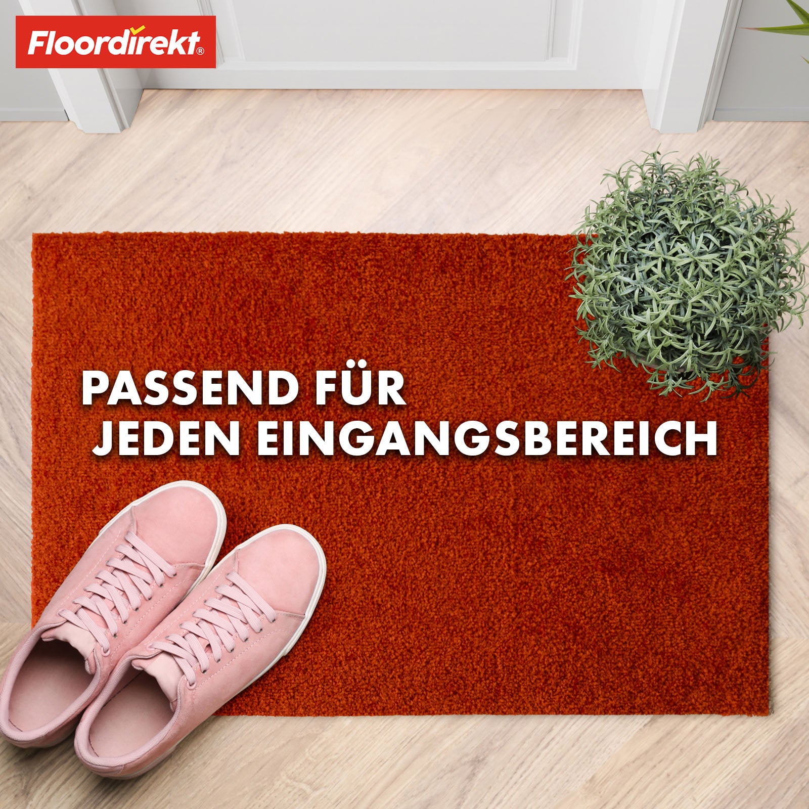 Paillasson | Domenico | Tapis de propreté élégant et pratique | Disponible en plusieurs couleurs attrayantes