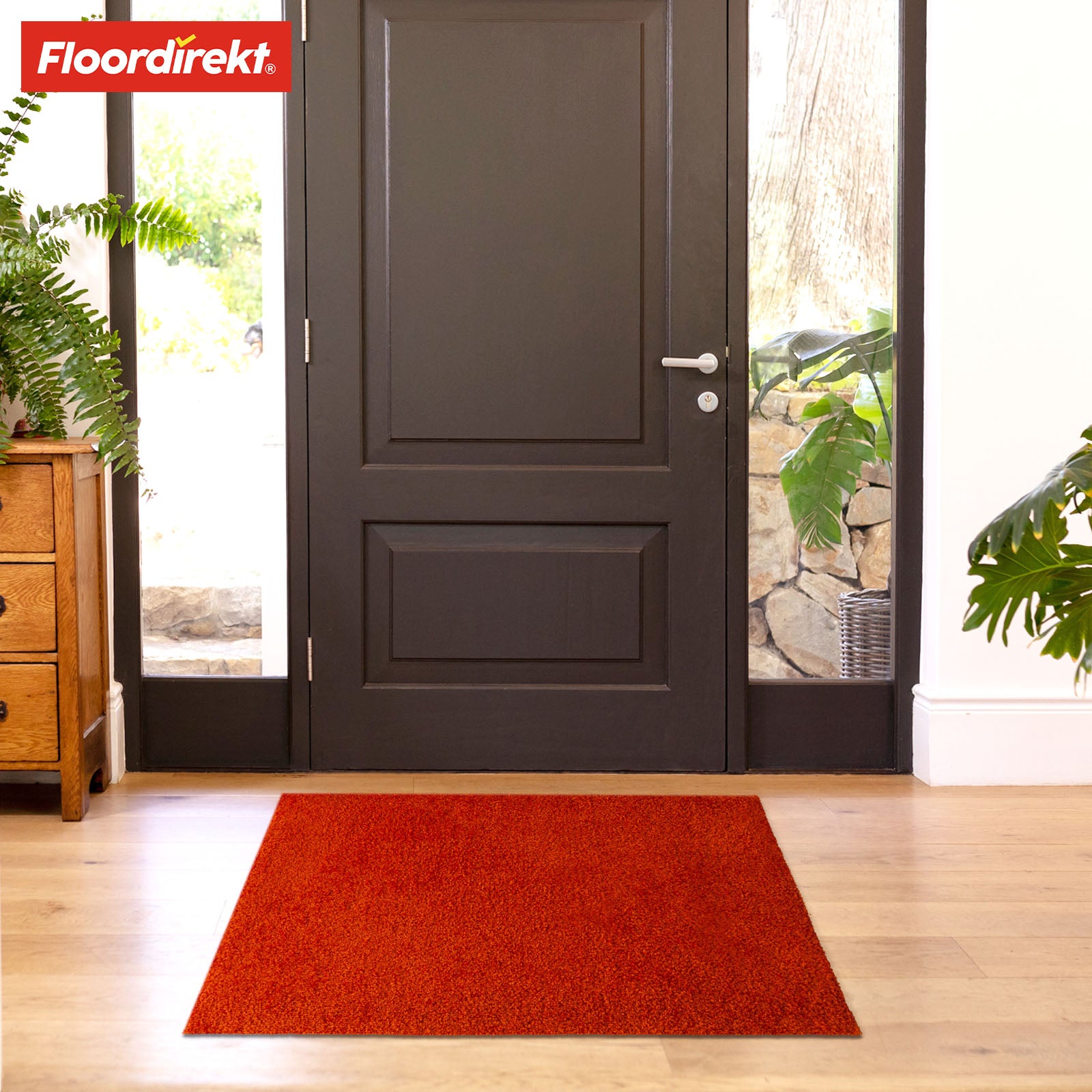 Paillasson | Domenico | Tapis de propreté élégant et pratique | Disponible en plusieurs couleurs attrayantes