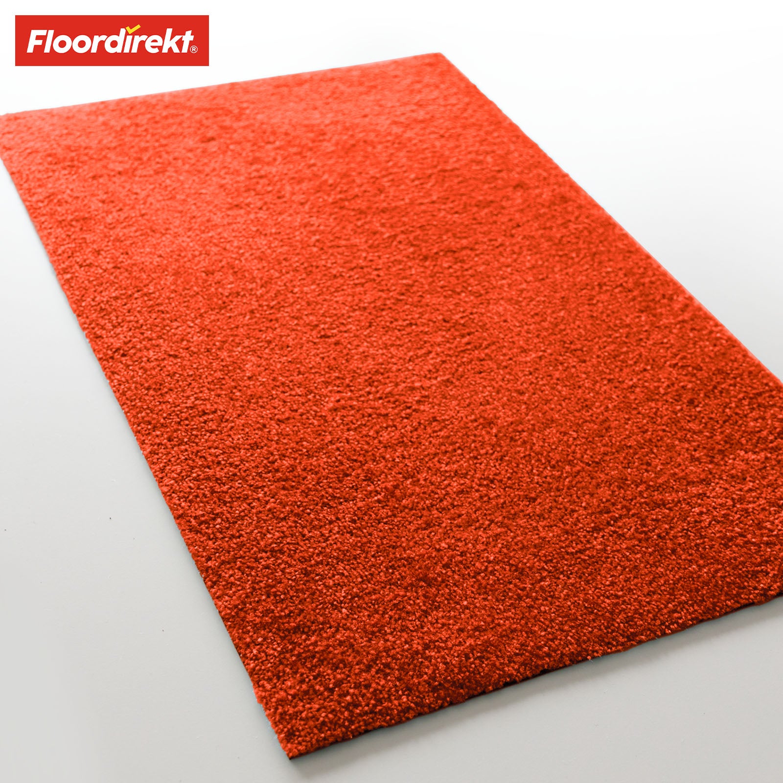 Paillasson | Domenico | Tapis de propreté élégant et pratique | Disponible en plusieurs couleurs attrayantes