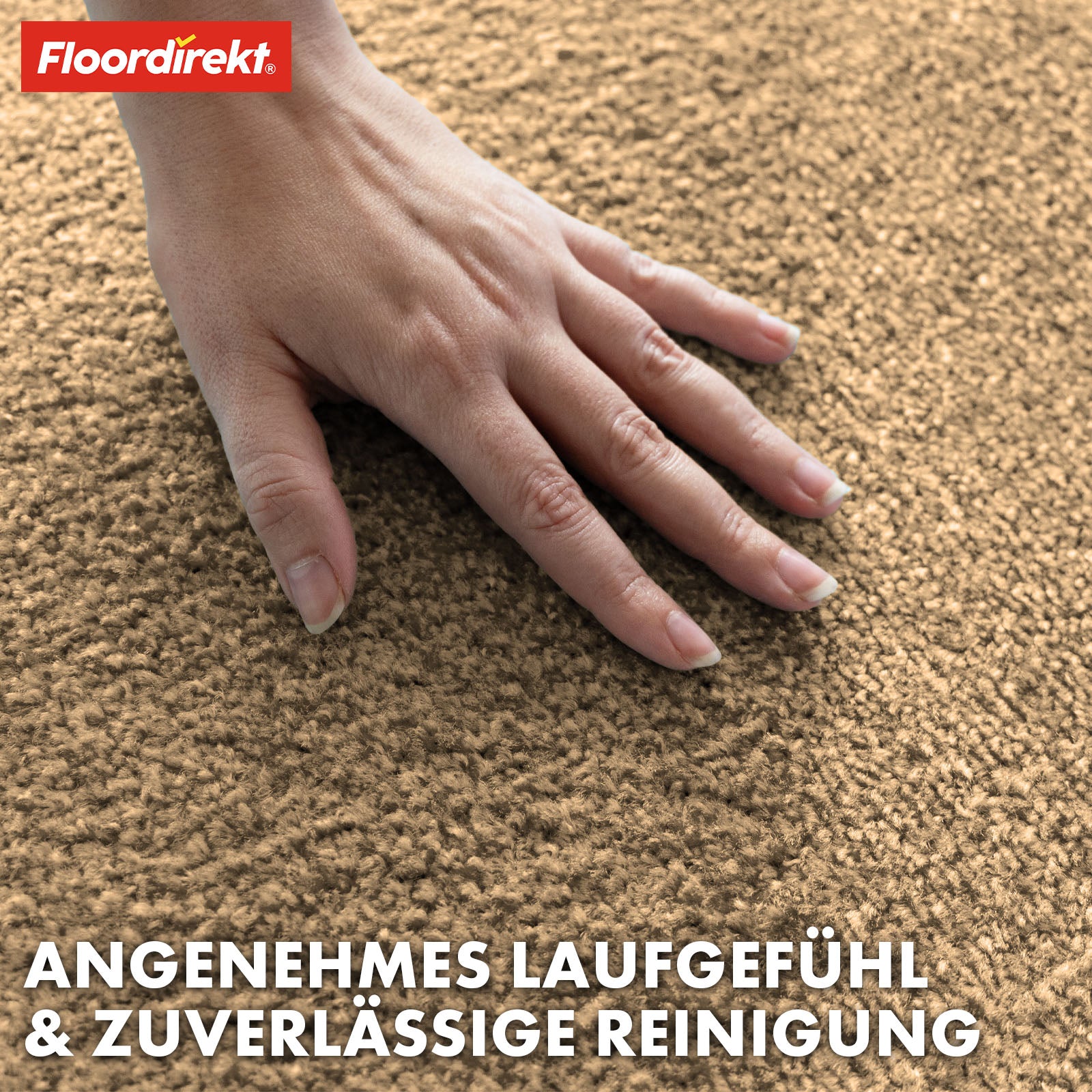 Paillasson | Domenico | Tapis de propreté élégant et pratique | Disponible en plusieurs couleurs attrayantes