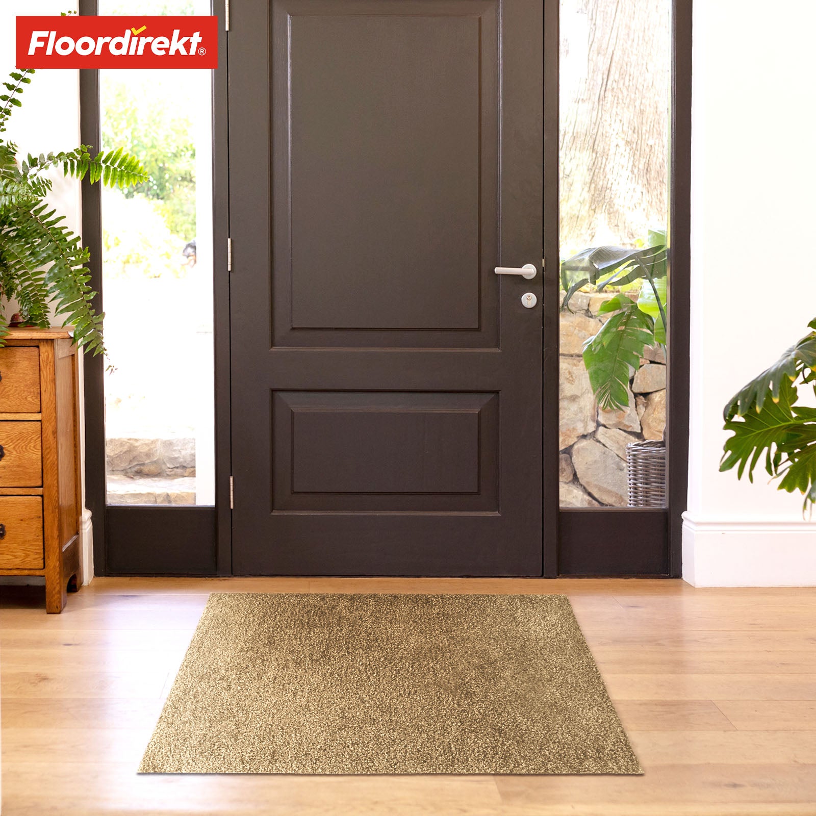 Paillasson | Domenico | Tapis de propreté élégant et pratique | Disponible en plusieurs couleurs attrayantes