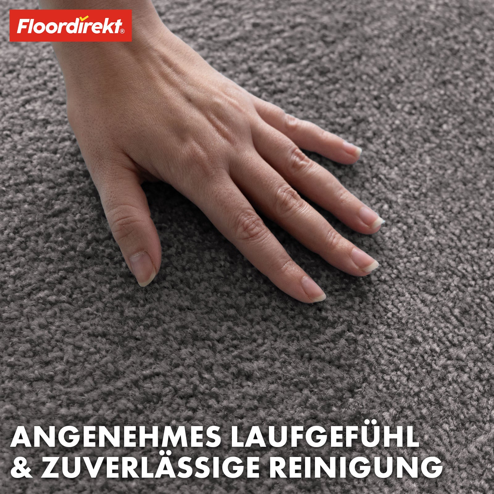 Paillasson | Domenico | Tapis de propreté élégant et pratique | Disponible en plusieurs couleurs attrayantes