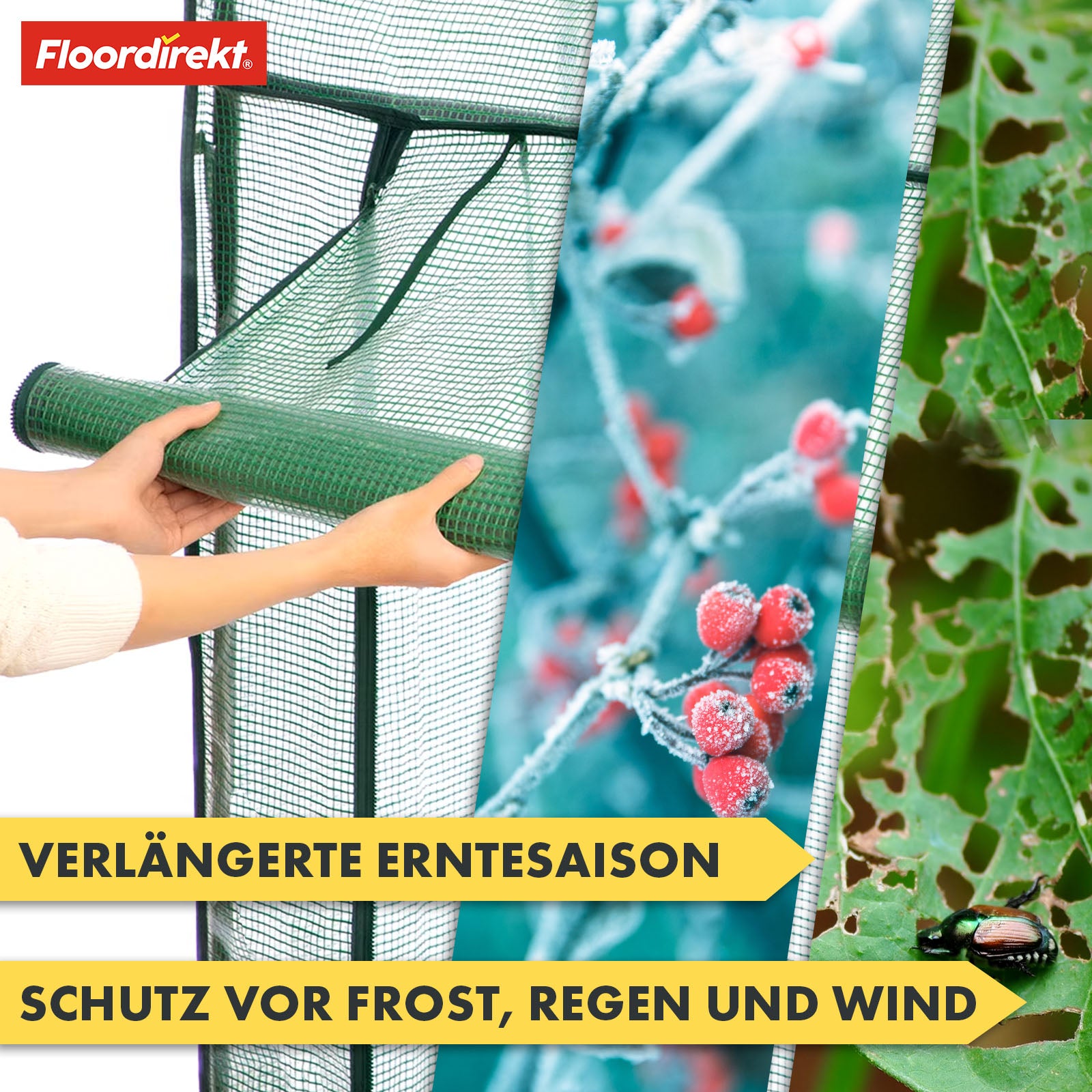 Serre | Botanika | Construction résistante aux intempéries pour vos plantes | Disponible en deux tailles différentes