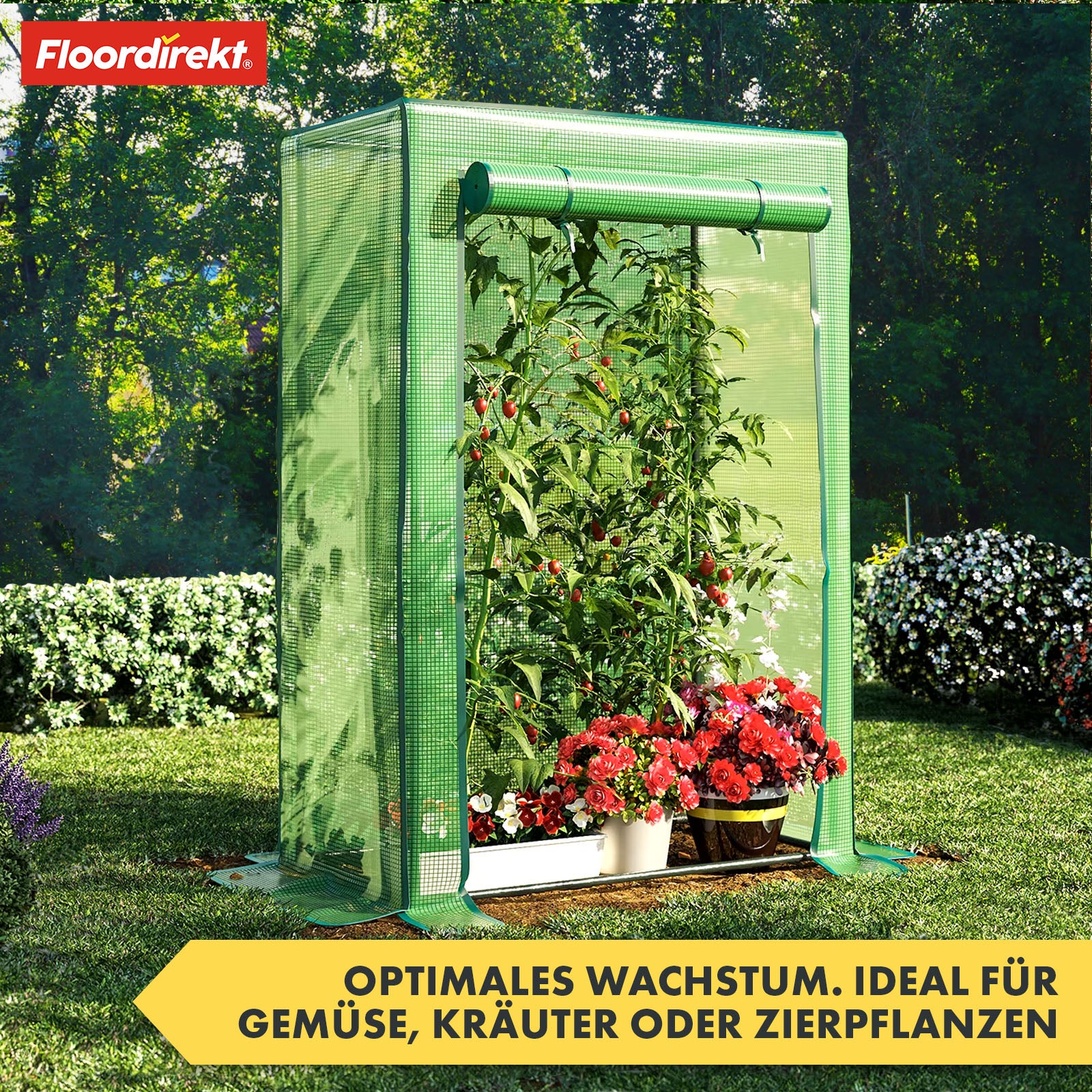 Serre | Botanika | Construction résistante aux intempéries pour vos plantes | Disponible en deux tailles différentes