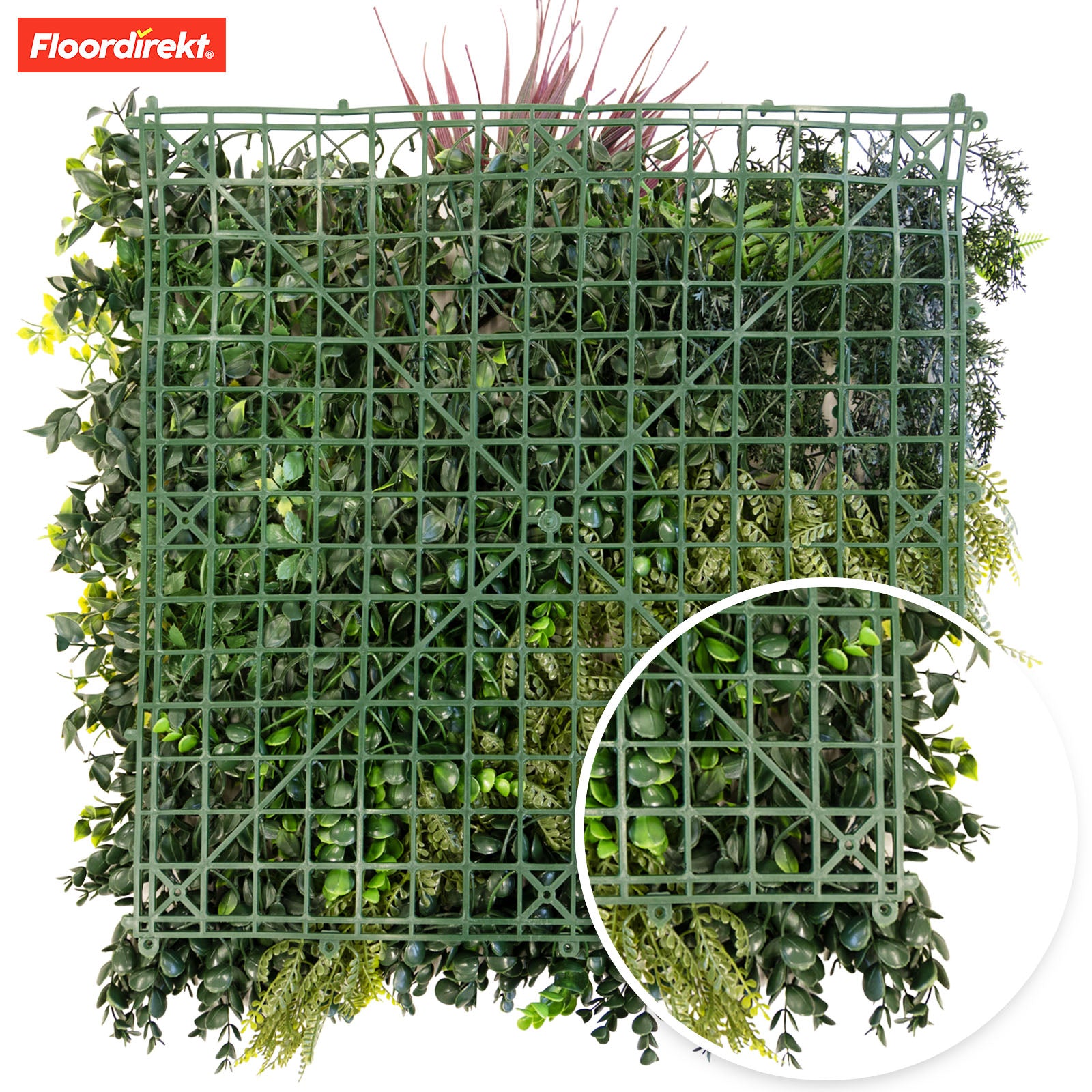 Mur végétal | Heaven Blue | Décoration murale polyvalente avec des accents verts et violets pour une ambiance élégante | 50 x 50 cm