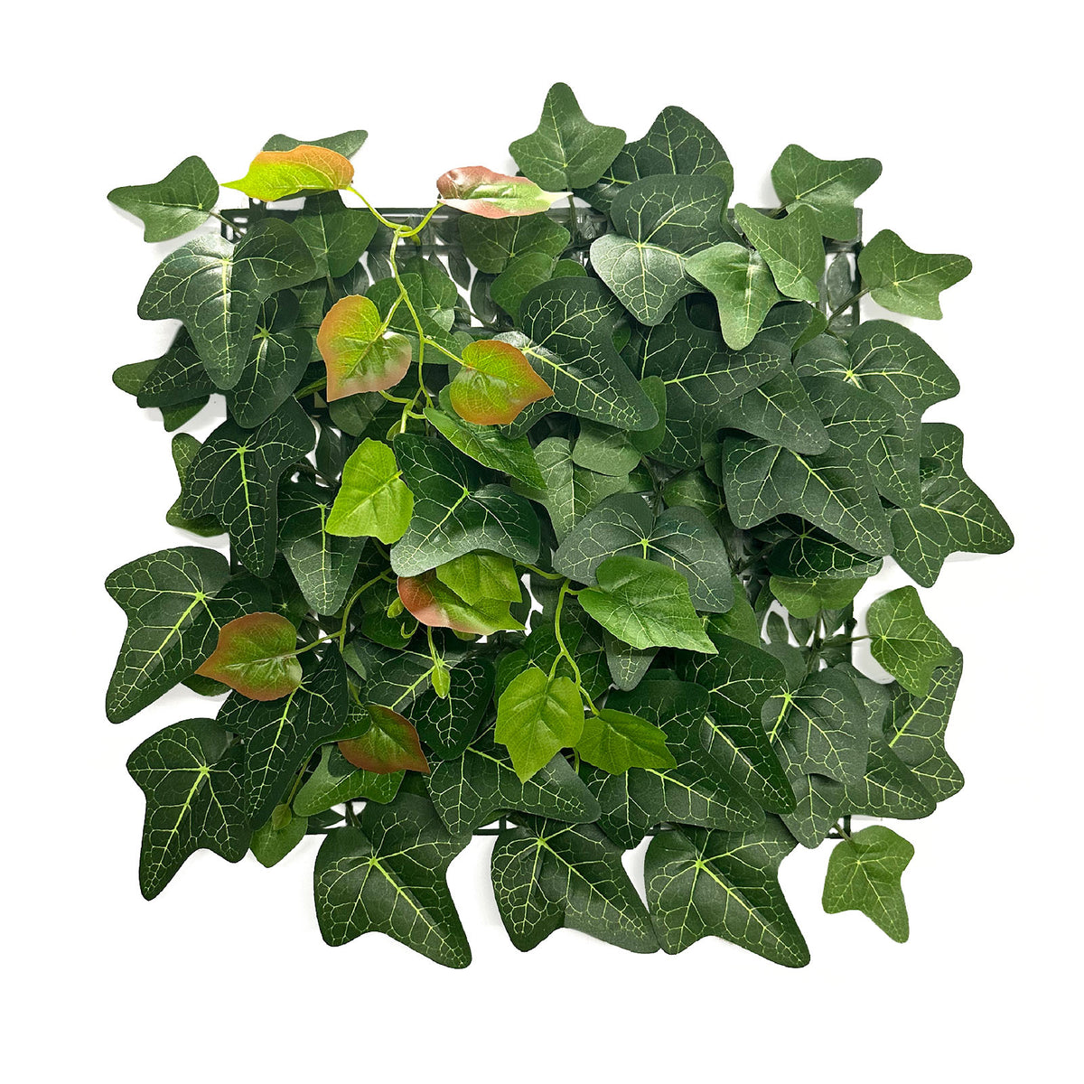 Mur végétal | Ivy | Plante artificielle durable avec feuilles de lierre pour une décoration intérieure moderne | 33 x 33 cm