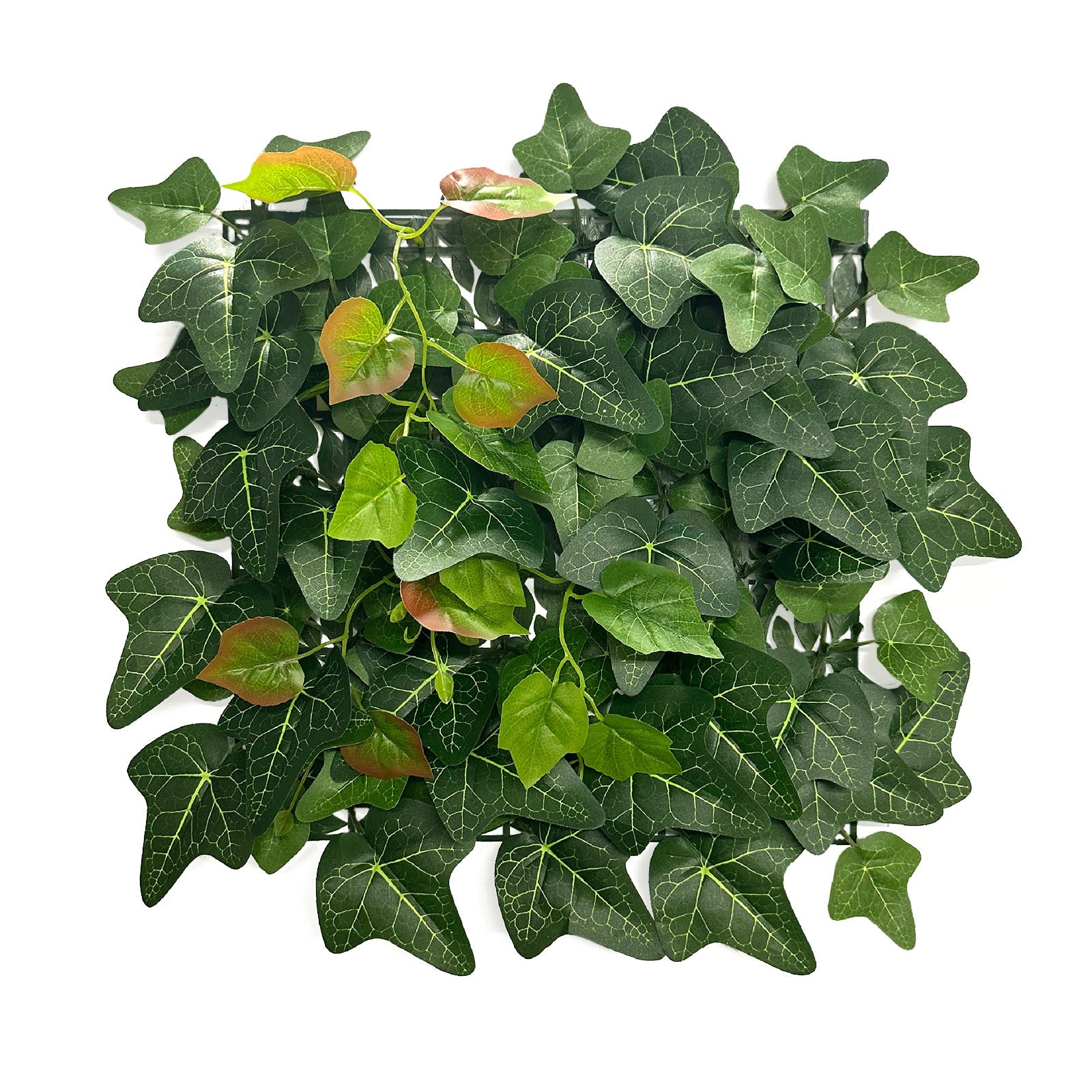 Mur végétal | Ivy | Plante artificielle durable avec feuilles de lierre pour une décoration intérieure moderne | 33 x 33 cm