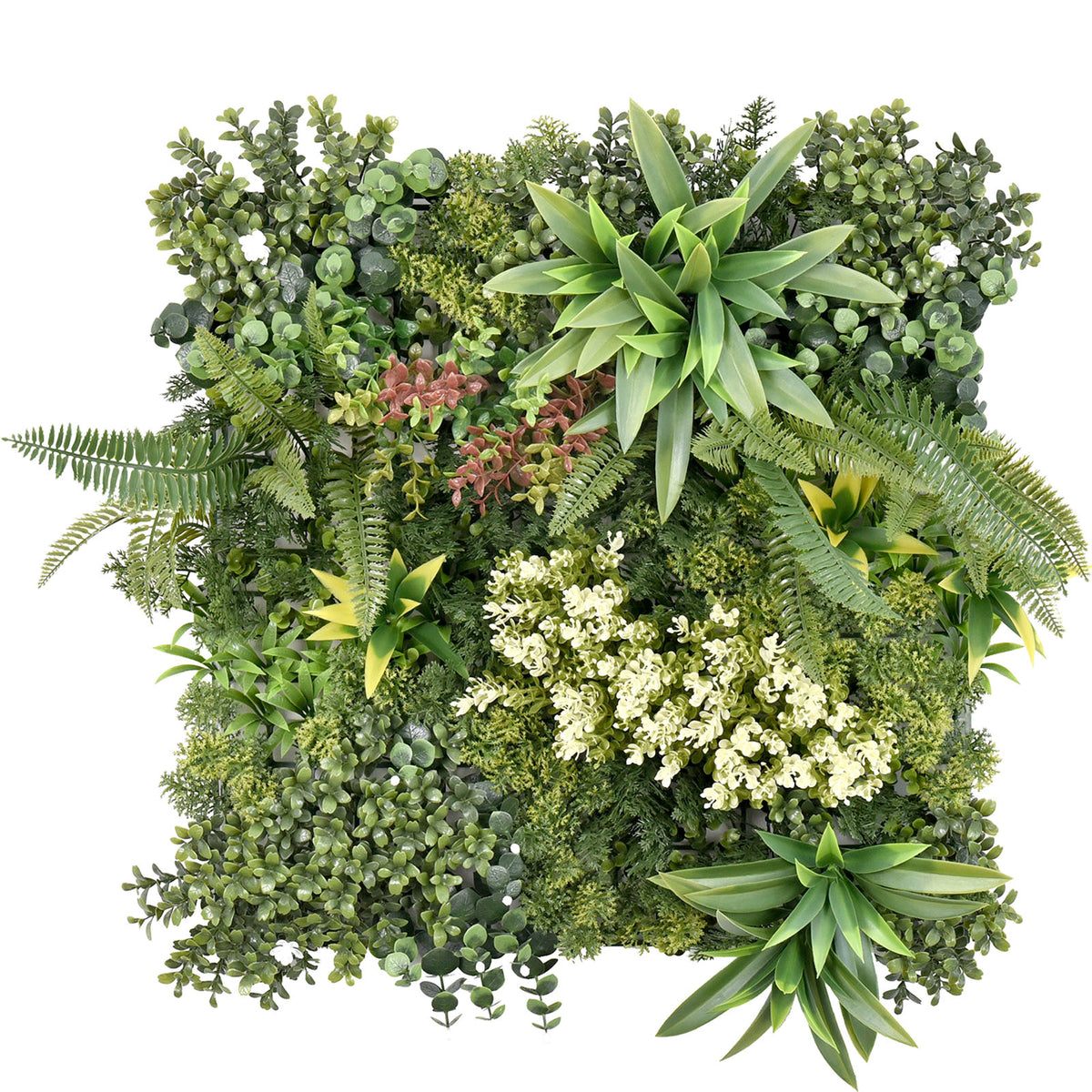 Mur végétal | Rhea | Décoration murale élégante avec plantes vertes et fleurs blanches | 50 x 50 cm