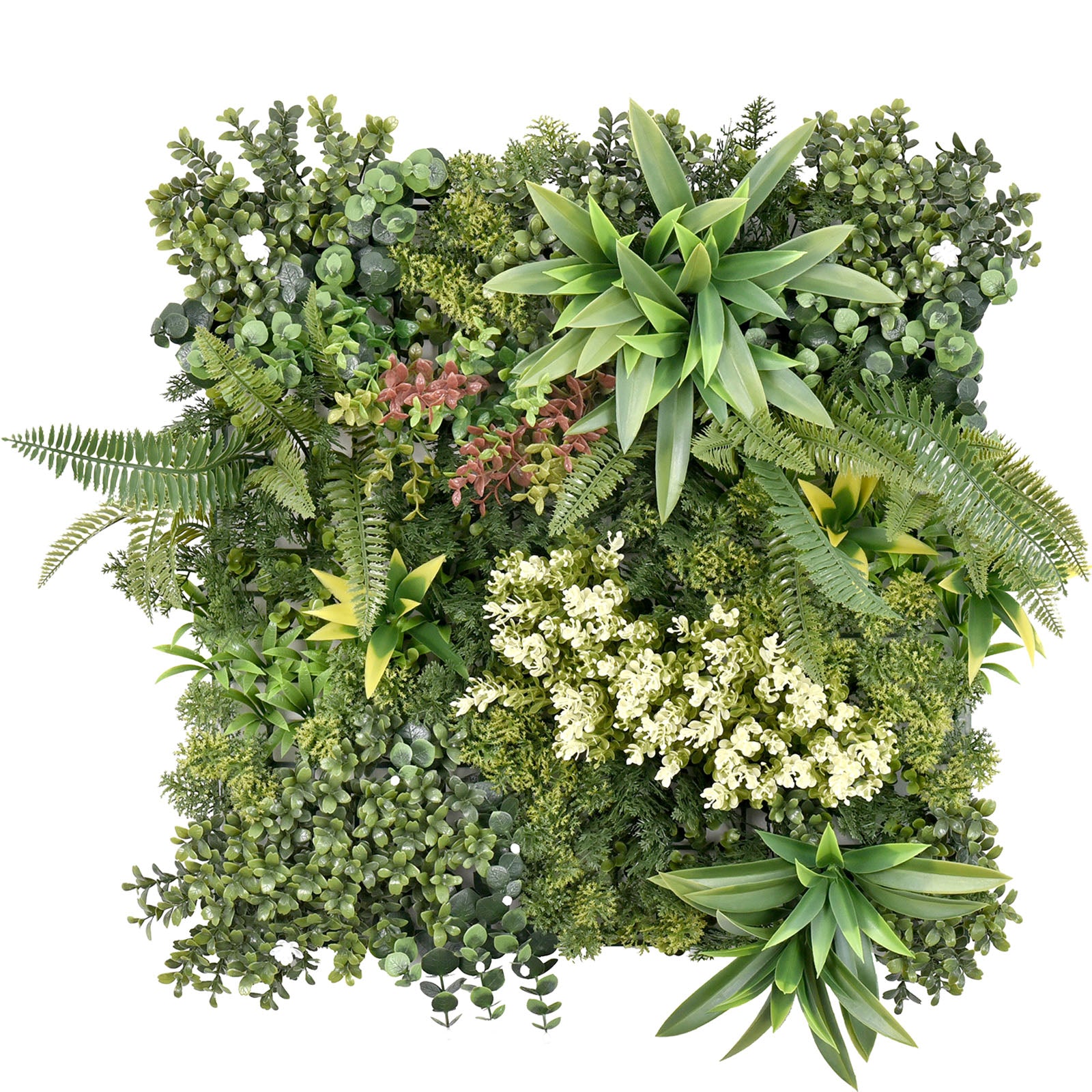 Mur végétal | Rhea | Décoration murale élégante avec plantes vertes et fleurs blanches | 50 x 50 cm