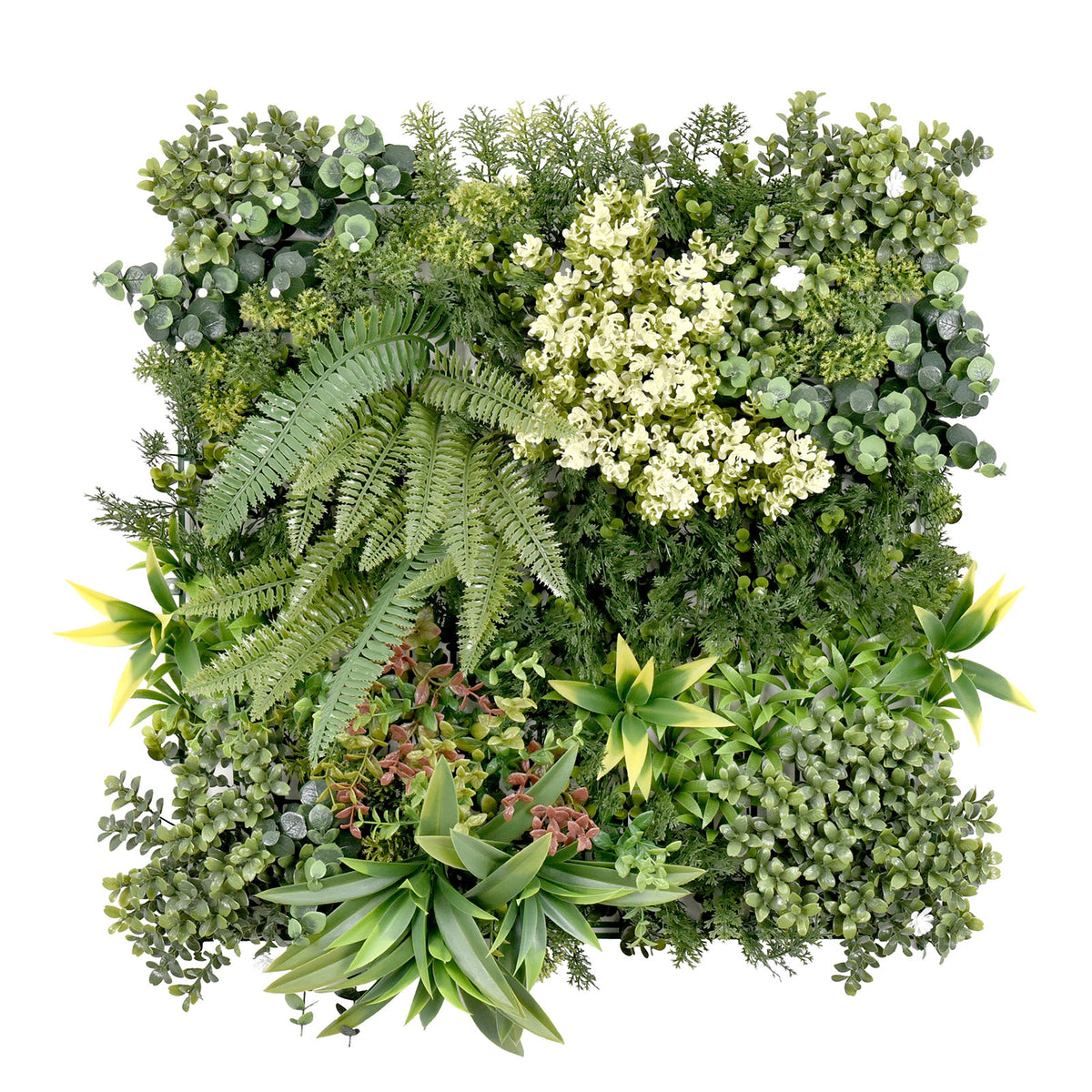 Mur végétal | Rhea | Décoration murale élégante avec plantes vertes et fleurs blanches | 50 x 50 cm