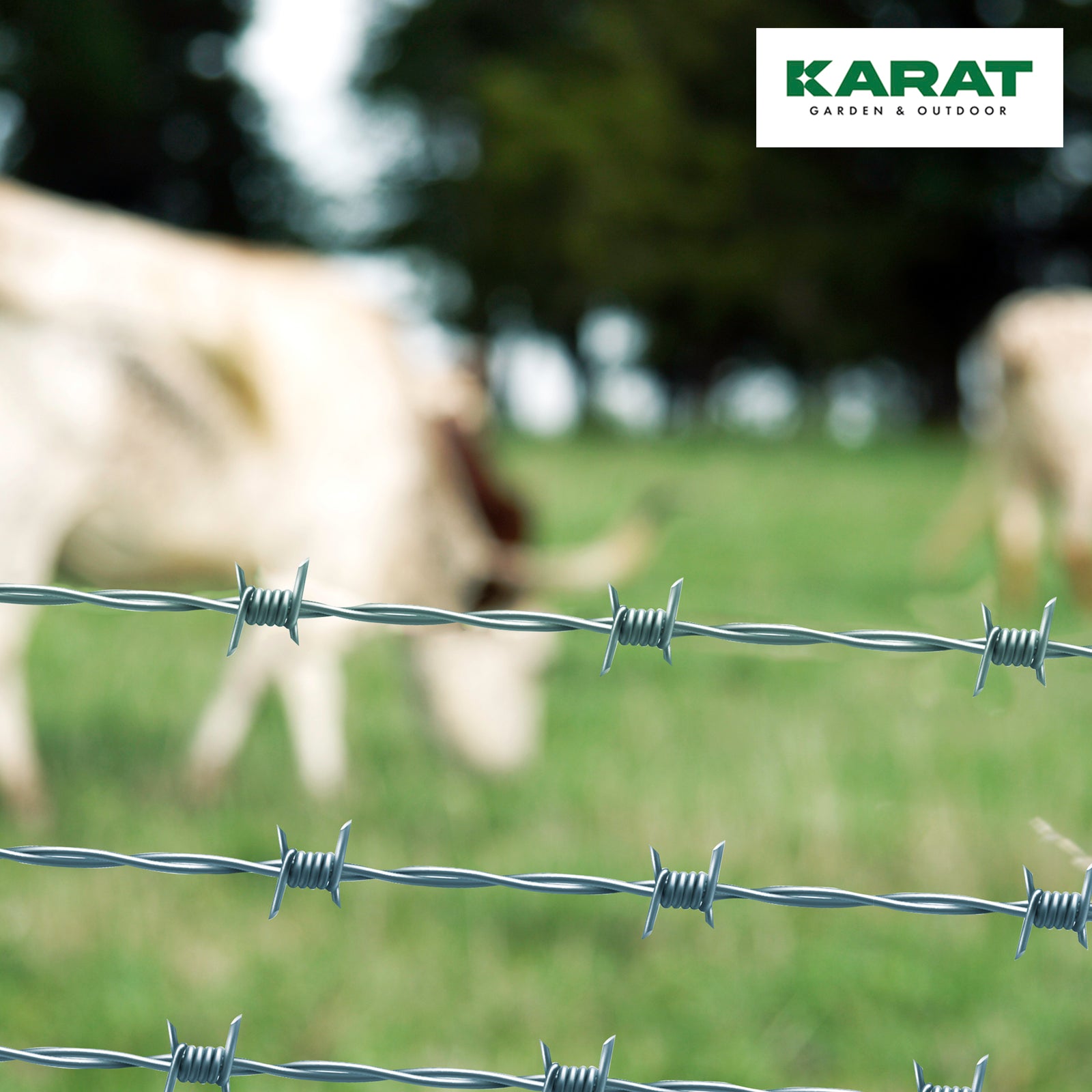 A2_Galvanisé |  Galvanisé / 16 m (avec gants)