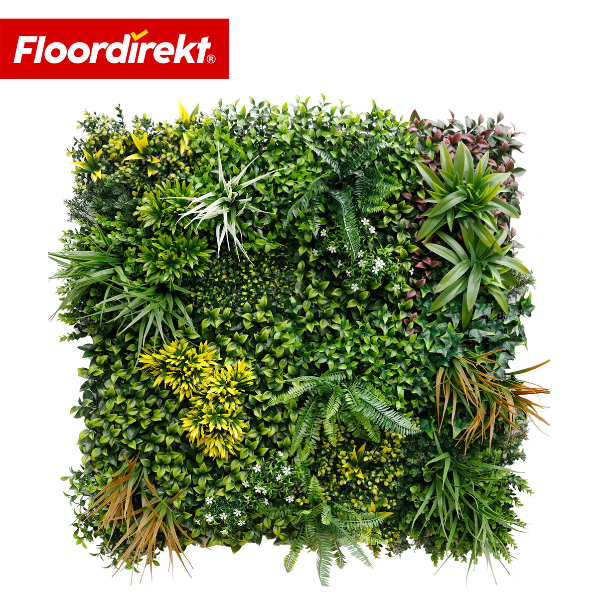 Mur végétal | Spring Garden | Panneau de verdure naturel et sans entretien | Résistant au soleil & extensible grâce au système de clips | 100 × 100 cm