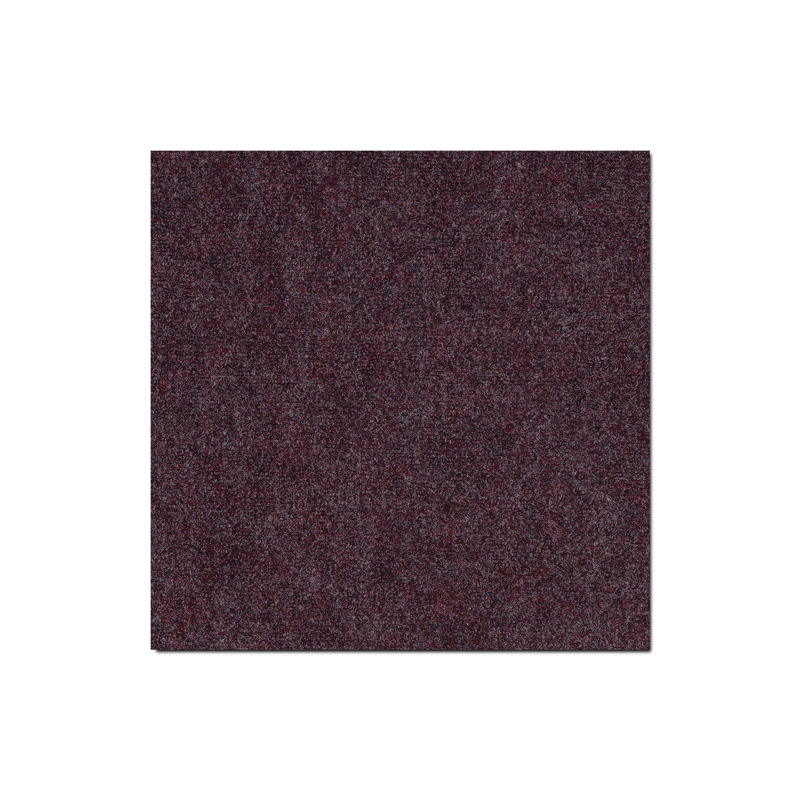 F1_Rouge 17
