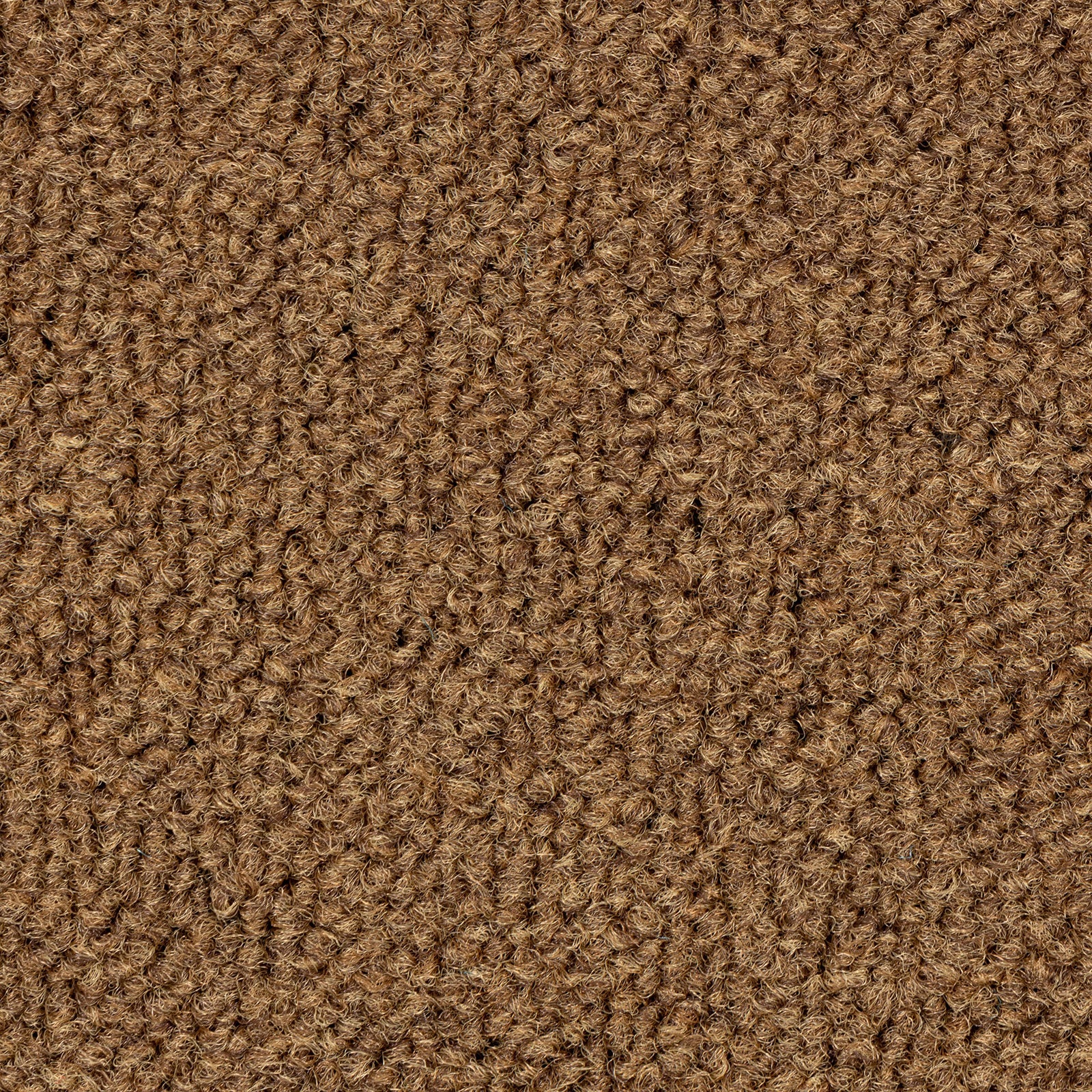 F4_Marron EDG135F02