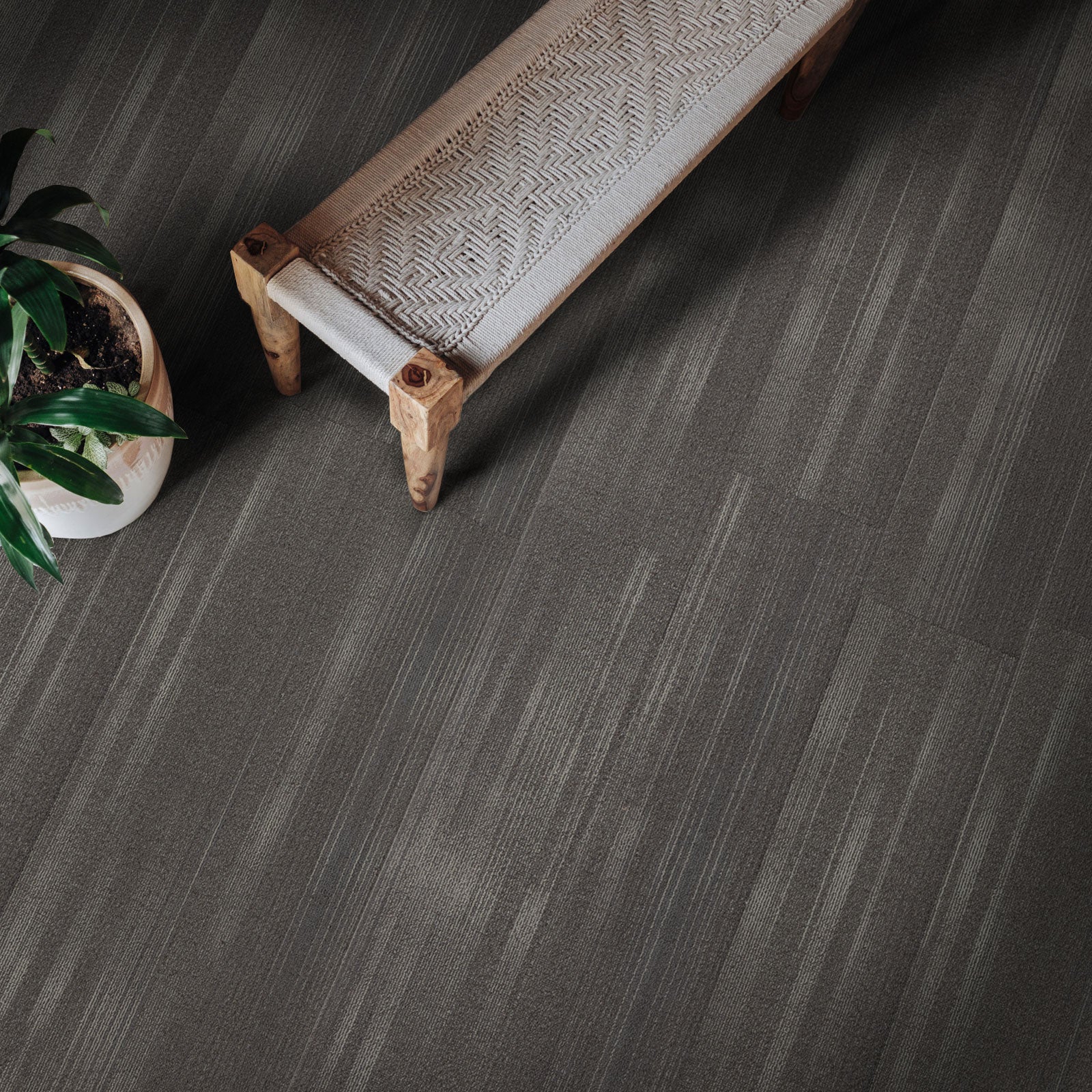 A2_Gris 82024