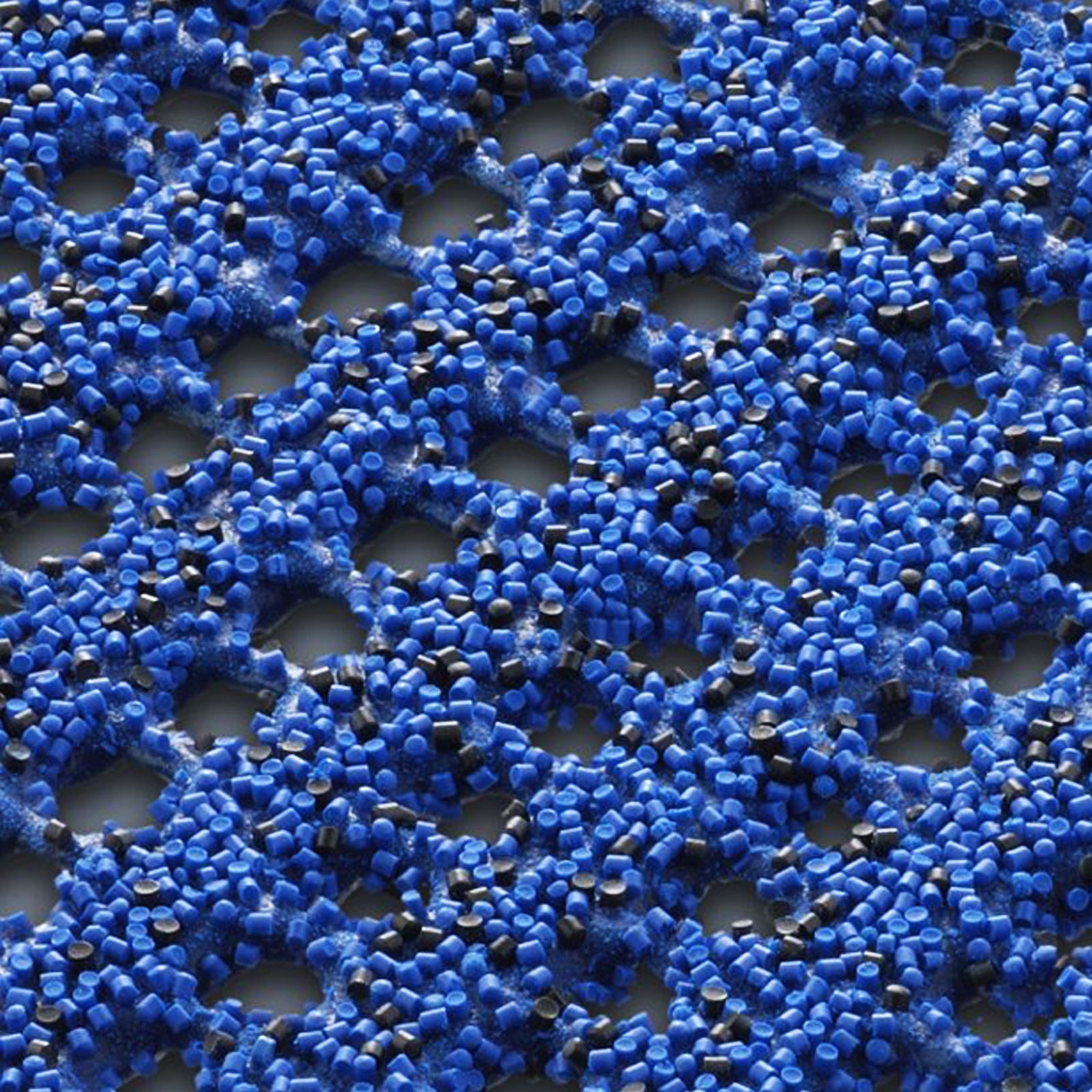 F3_Bleu