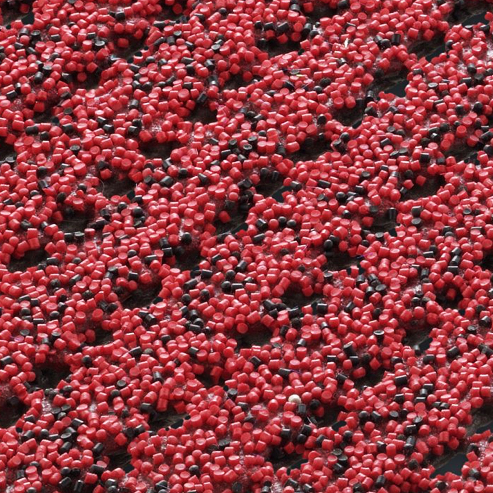 F3_Rouge