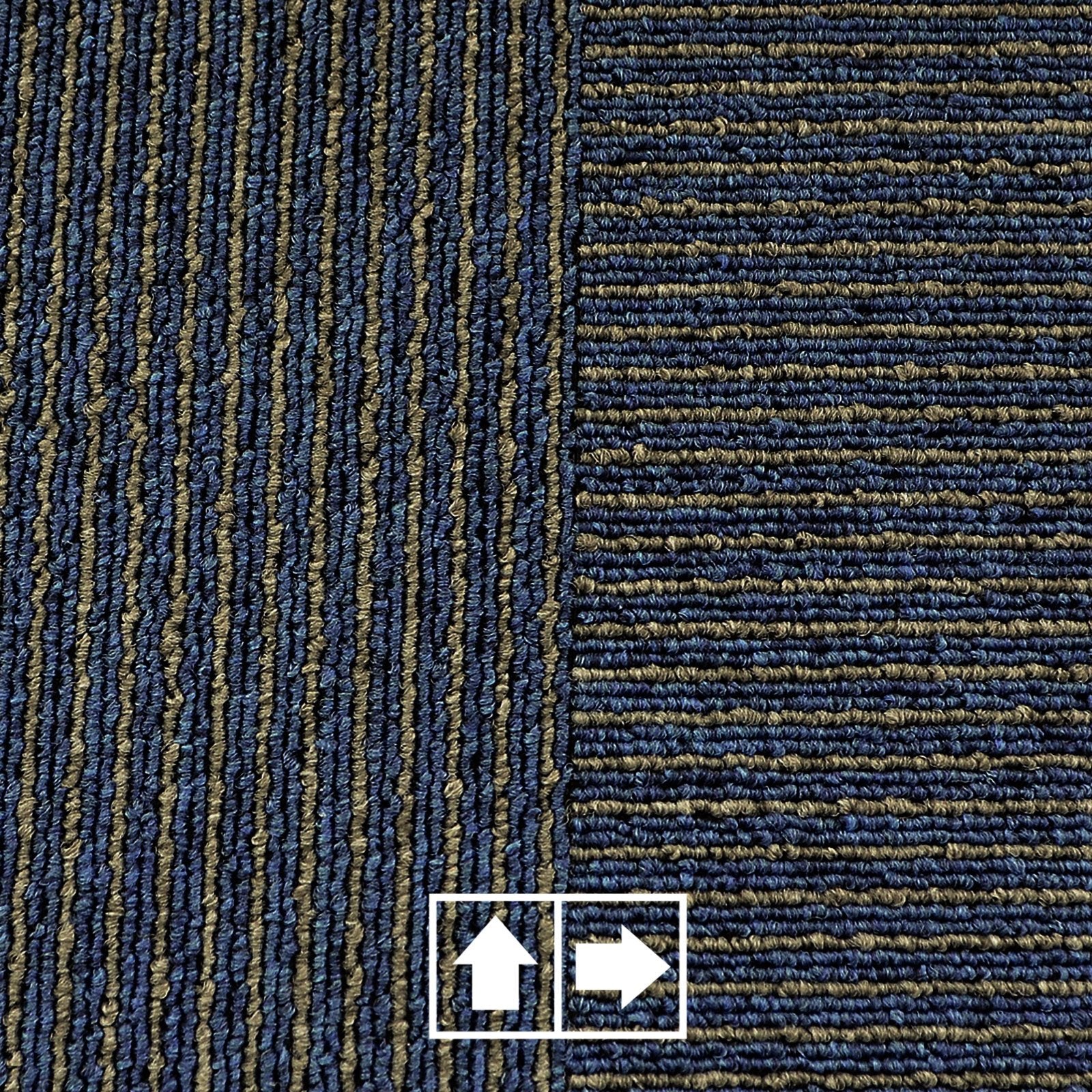 F6_Bleu | Bleu
