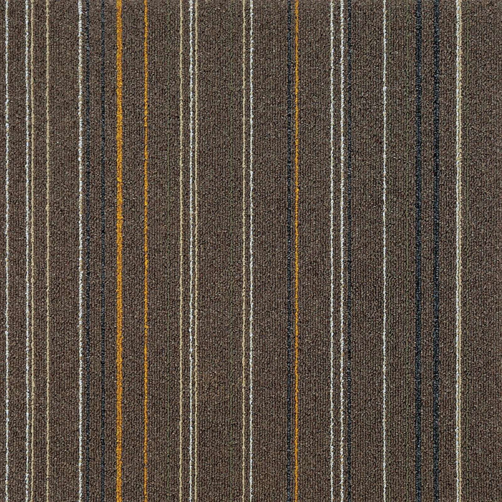 F3_Marron | Marron