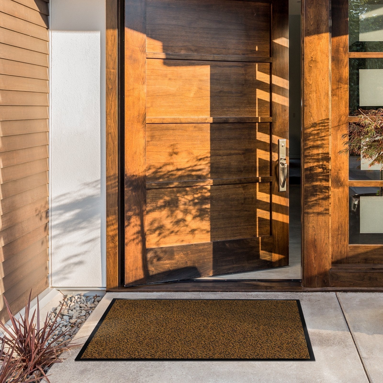 A1_Terra-Noir | Terra-Noir