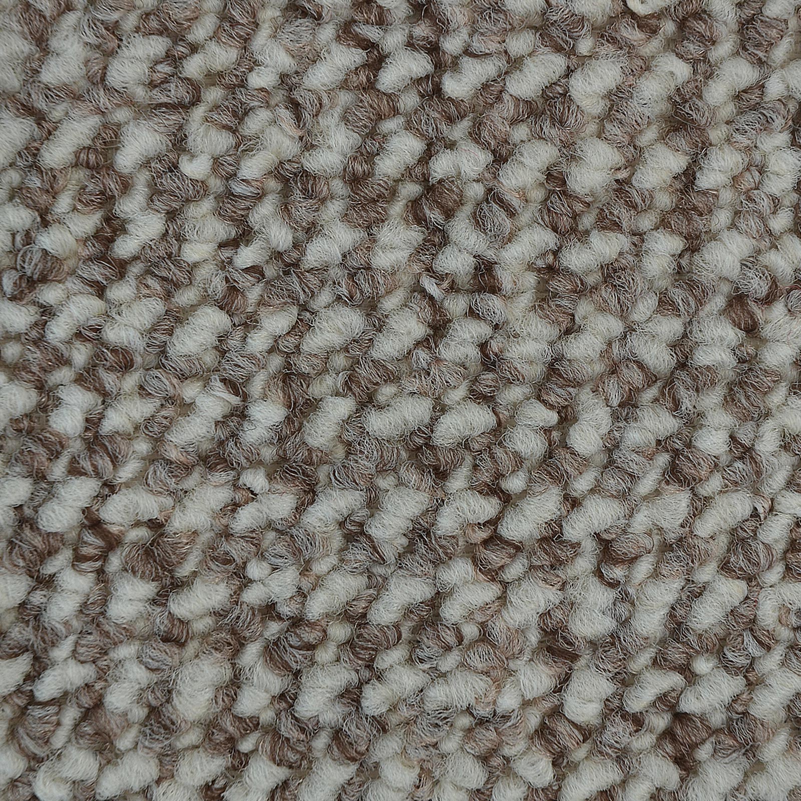 F2_Gris-Beige tacheté