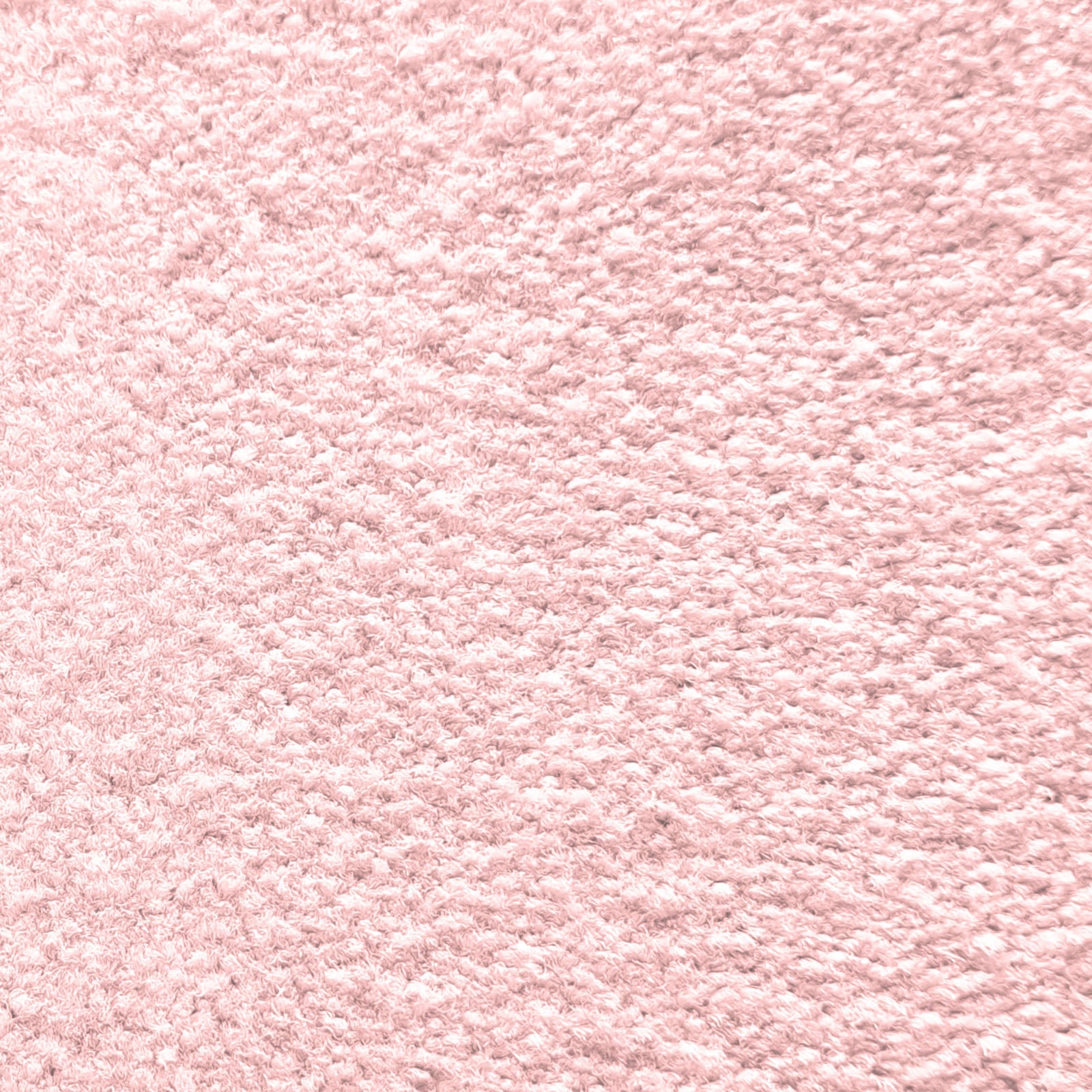 T1_CM60 - Rose