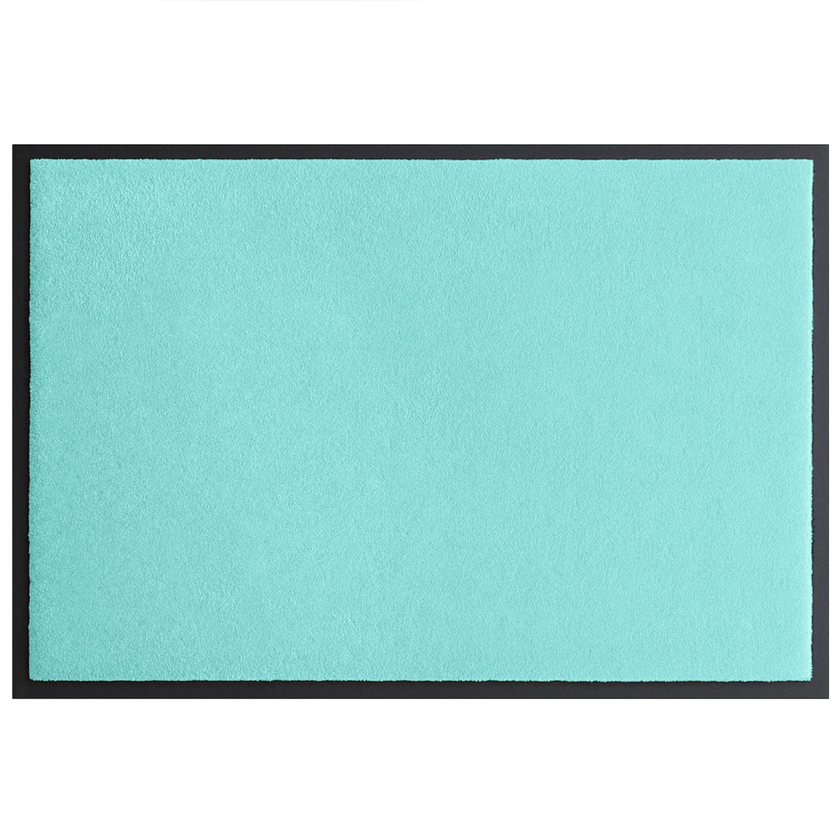 F1_CM85 - Menthe