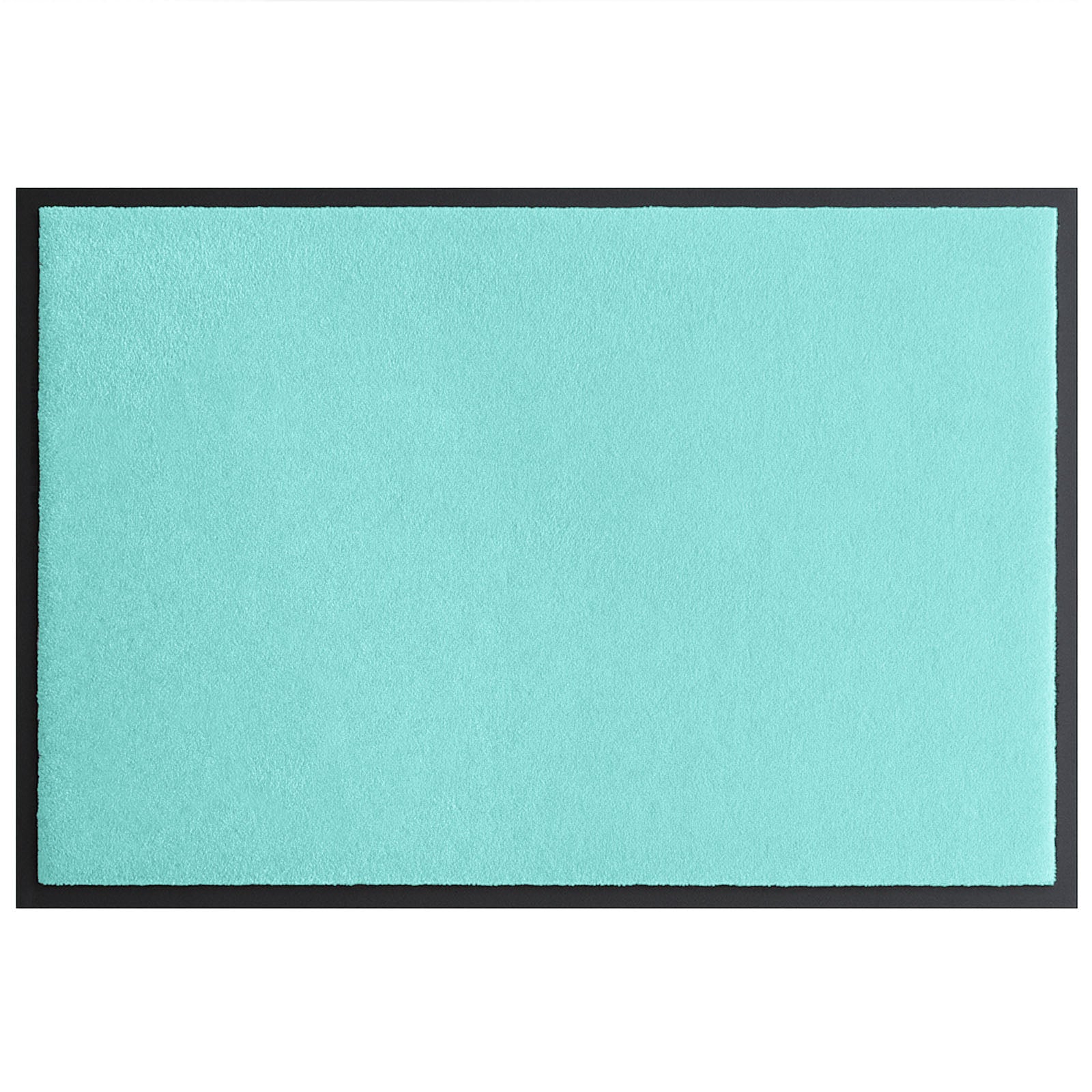 F1_CM85 - Menthe