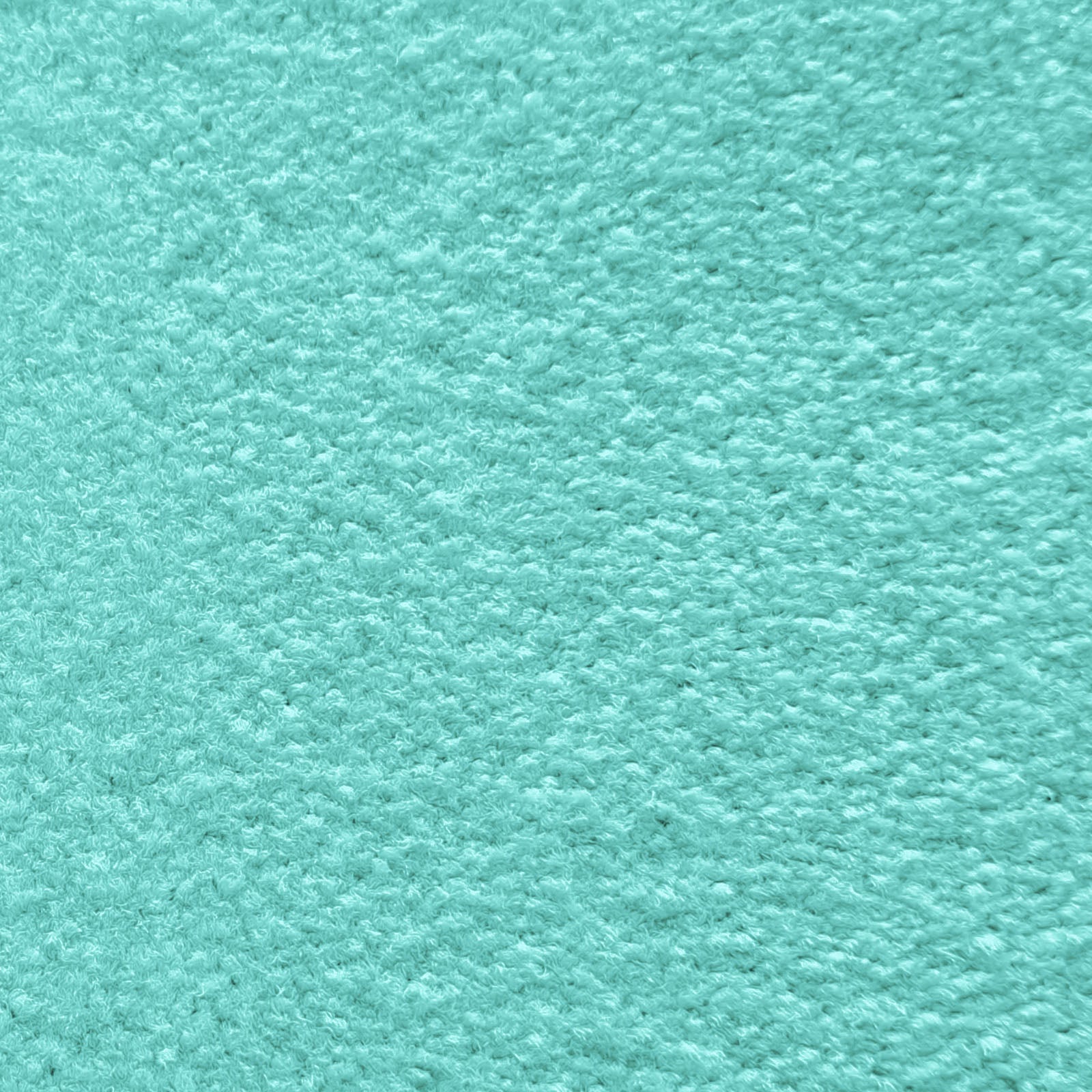 T1_CM85 - Menthe