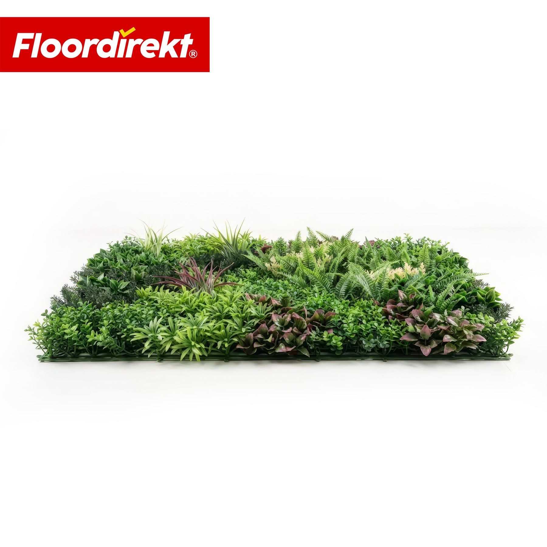 Mur végétal | Hera | Panneau de plantes artificielles naturel et sans entretien | Résistant au soleil & extensible avec système de clips | 100 × 100 cm