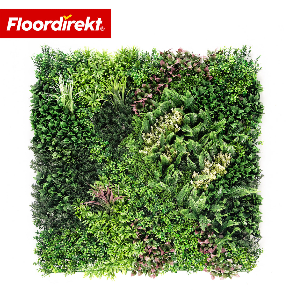 Mur végétal | Hera | Panneau de plantes artificielles naturel et sans entretien | Résistant au soleil & extensible avec système de clips | 100 × 100 cm